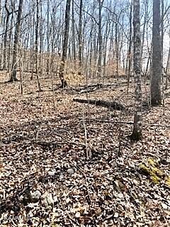 Spruce Pine (330 Acres) Road Mooresburg TN 37811