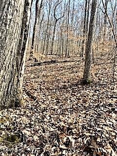 Spruce Pine (330 Acres) Road Mooresburg TN 37811