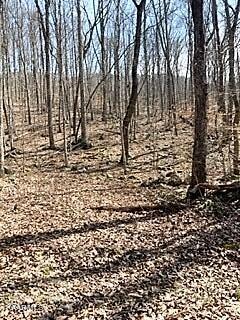 Spruce Pine (330 Acres) Road Mooresburg TN 37811