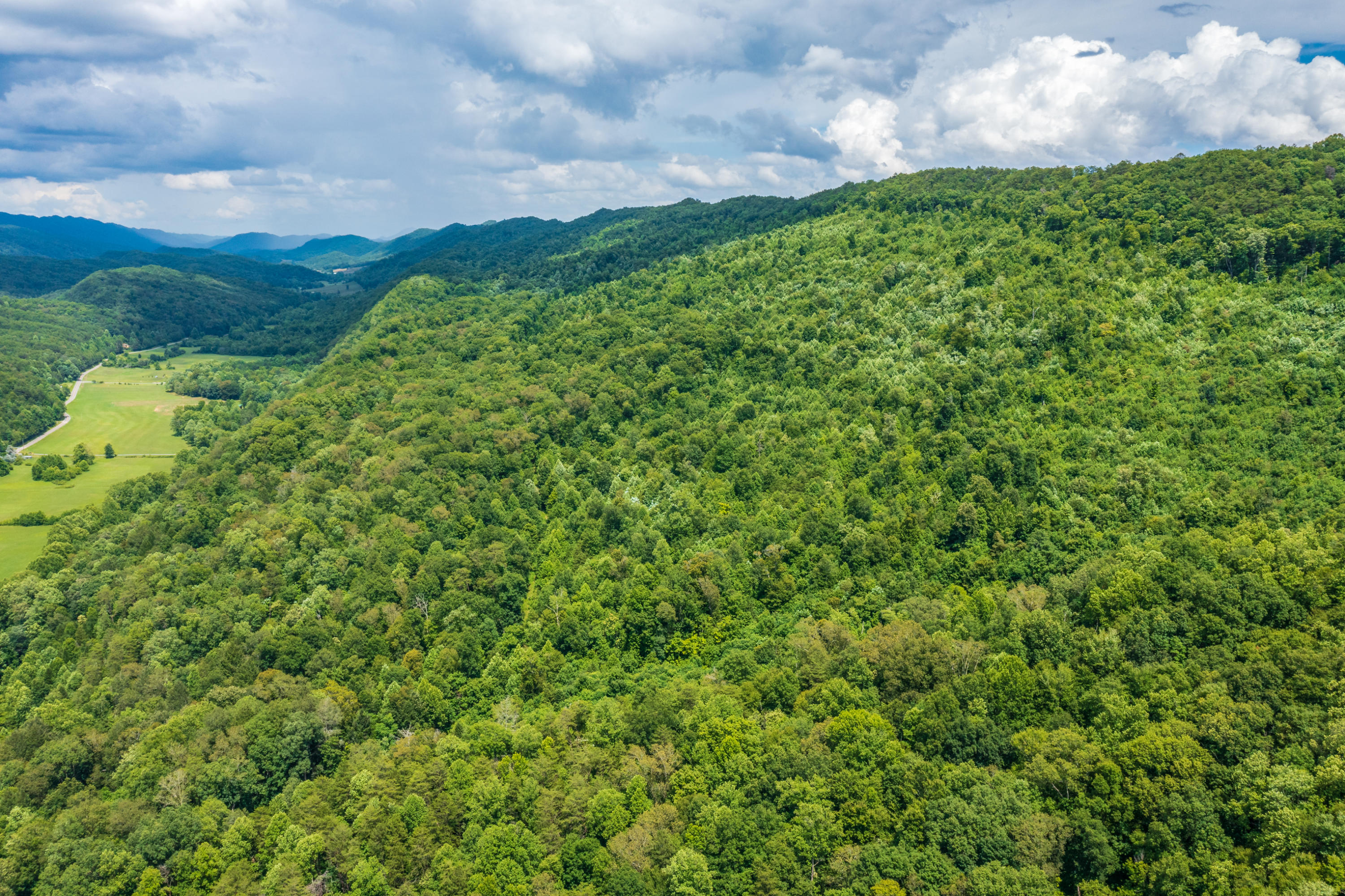 Spruce Pine (330 Acres) Road Mooresburg TN 37811