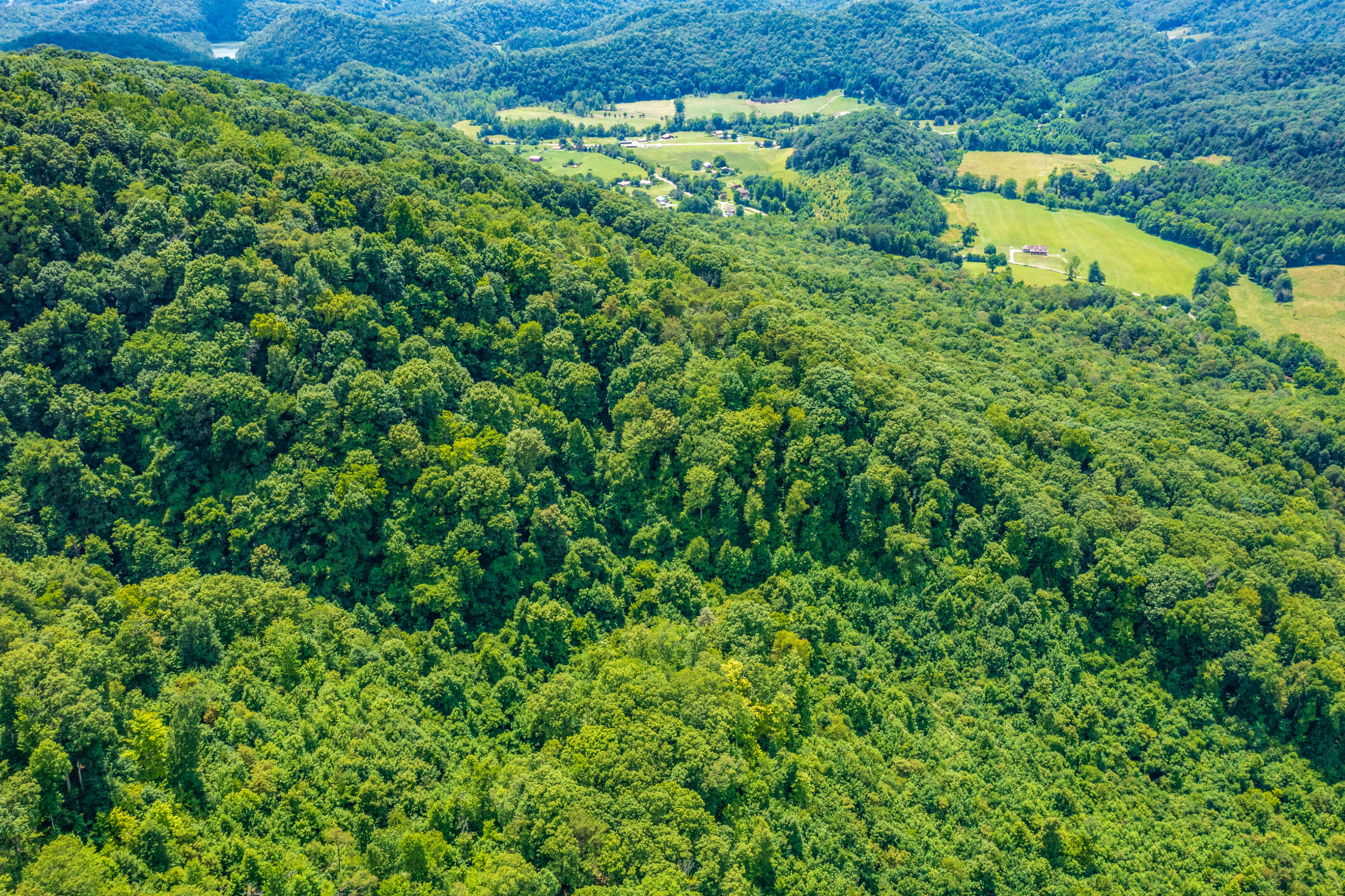Spruce Pine (330 Acres) Road Mooresburg TN 37811