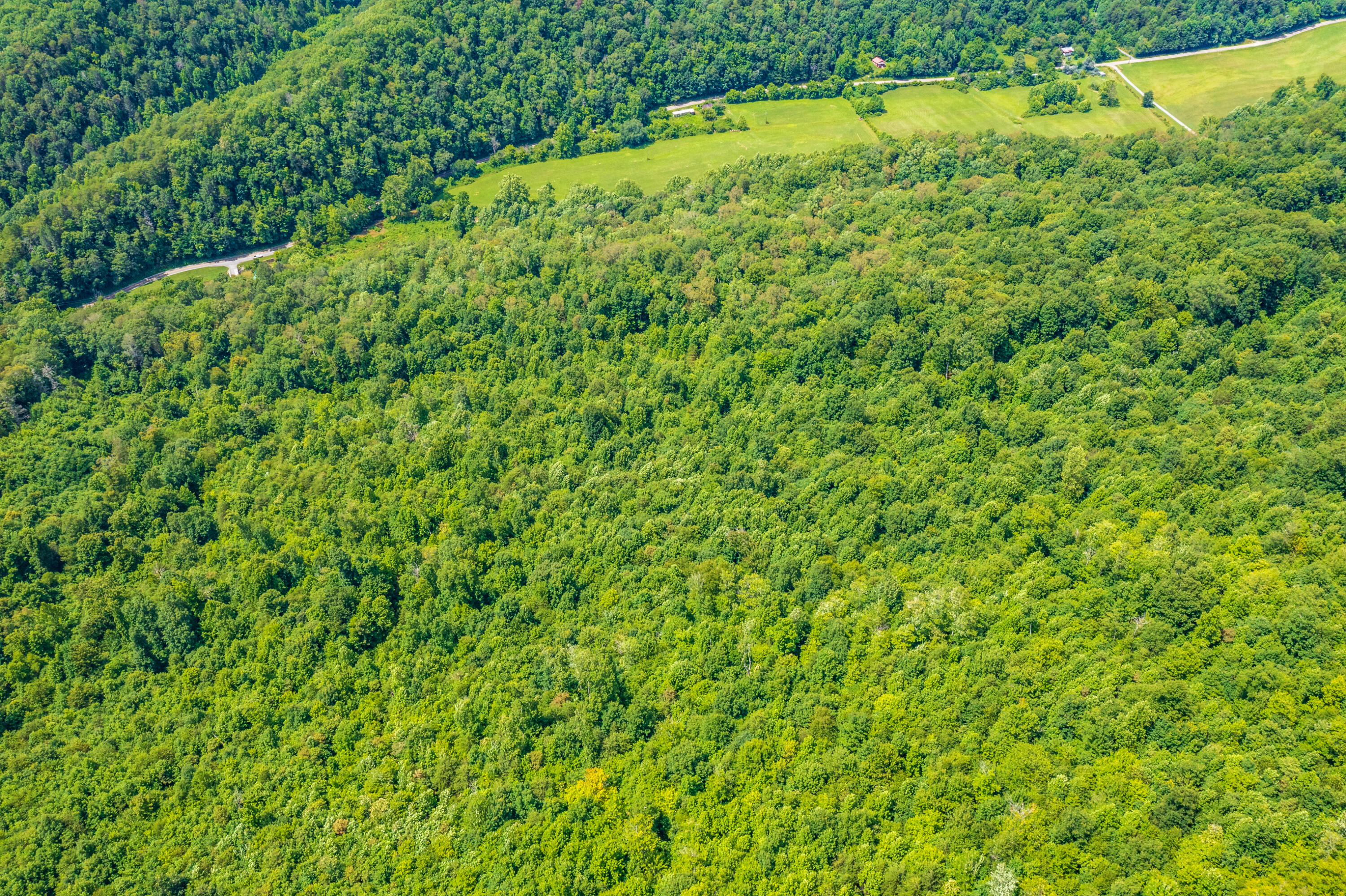 Spruce Pine (330 Acres) Road Mooresburg TN 37811