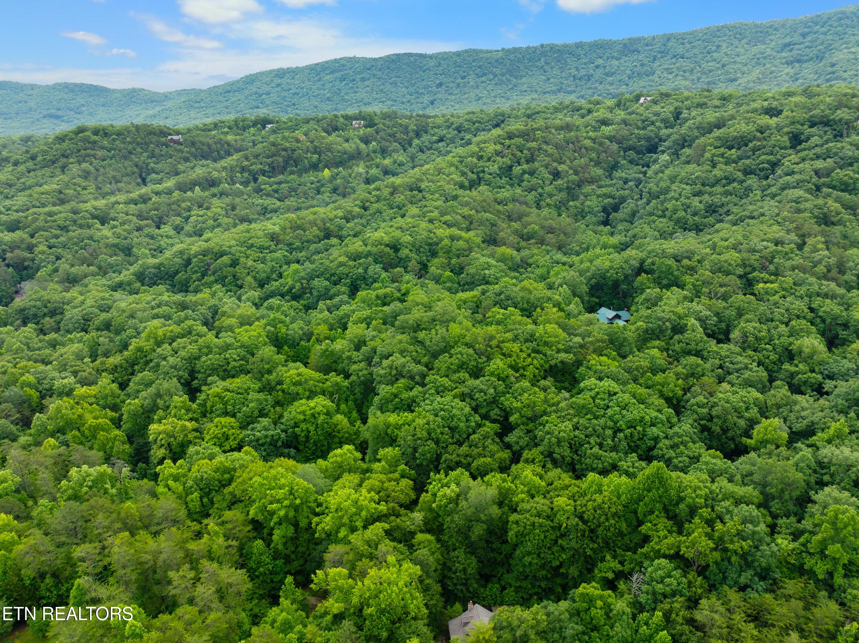 750 Blue Beech Drive Maryville TN 37803