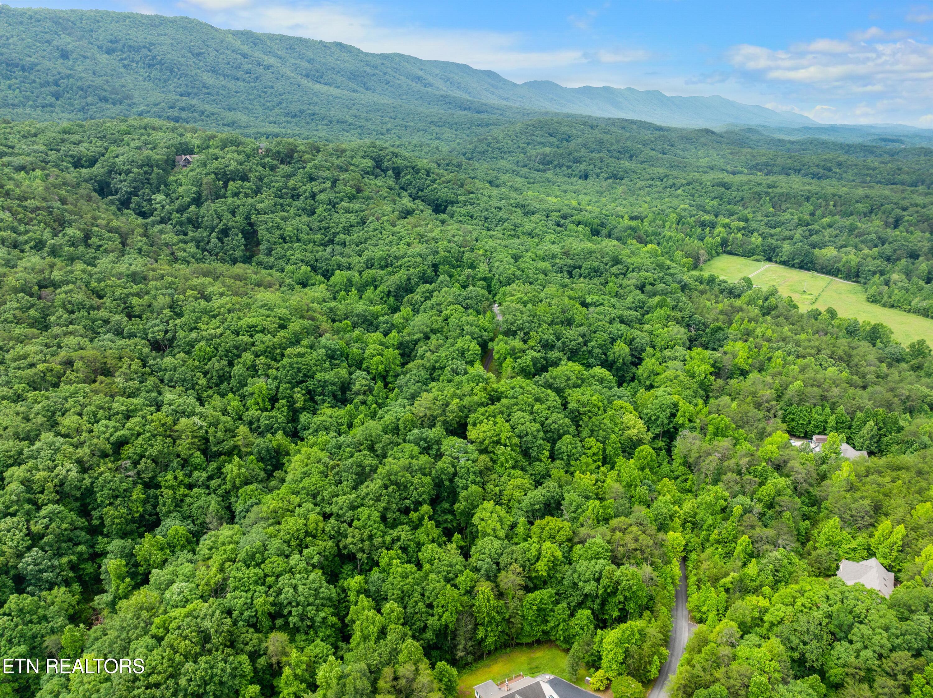 750 Blue Beech Drive Maryville TN 37803