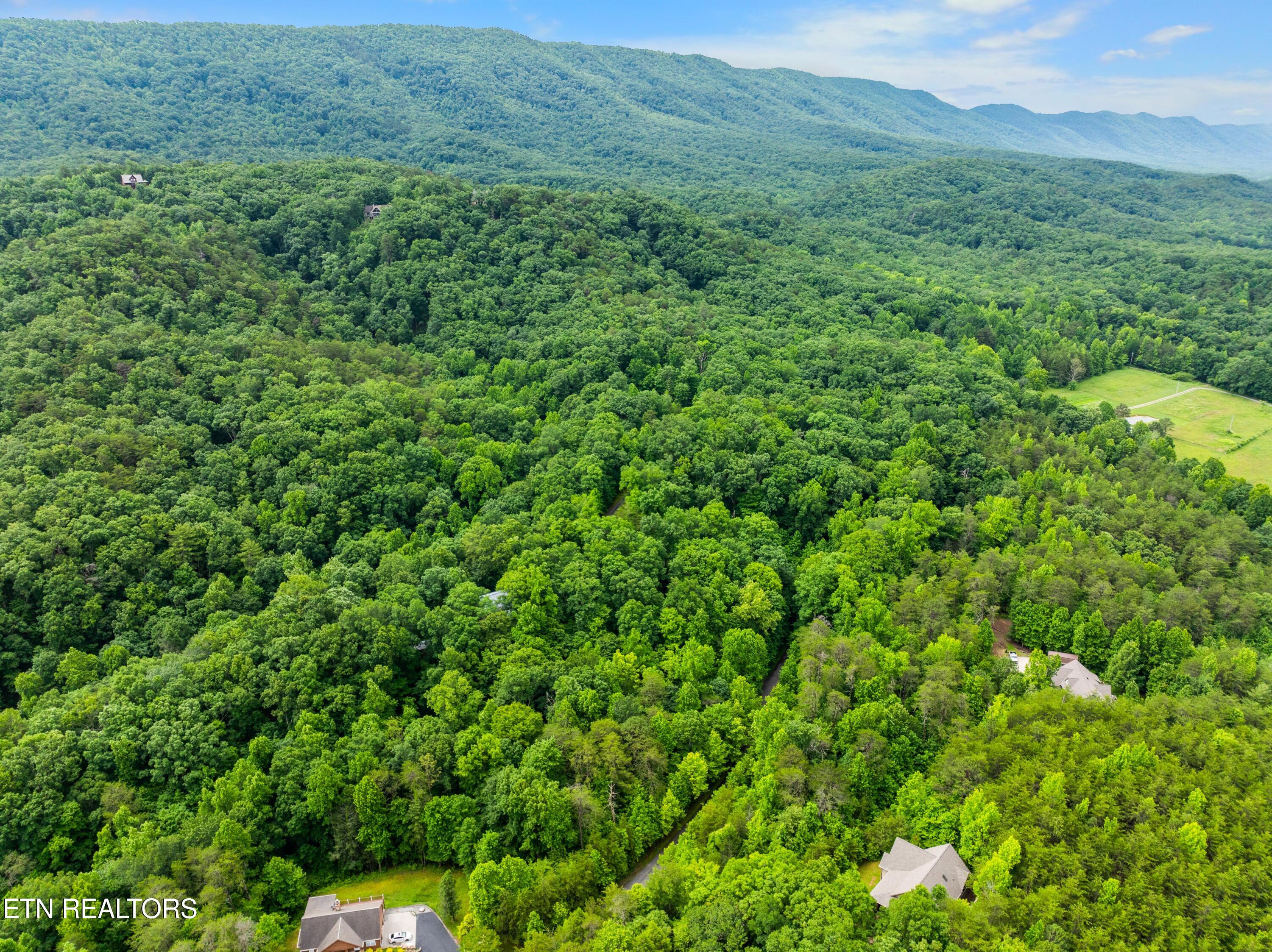 750 Blue Beech Drive Maryville TN 37803