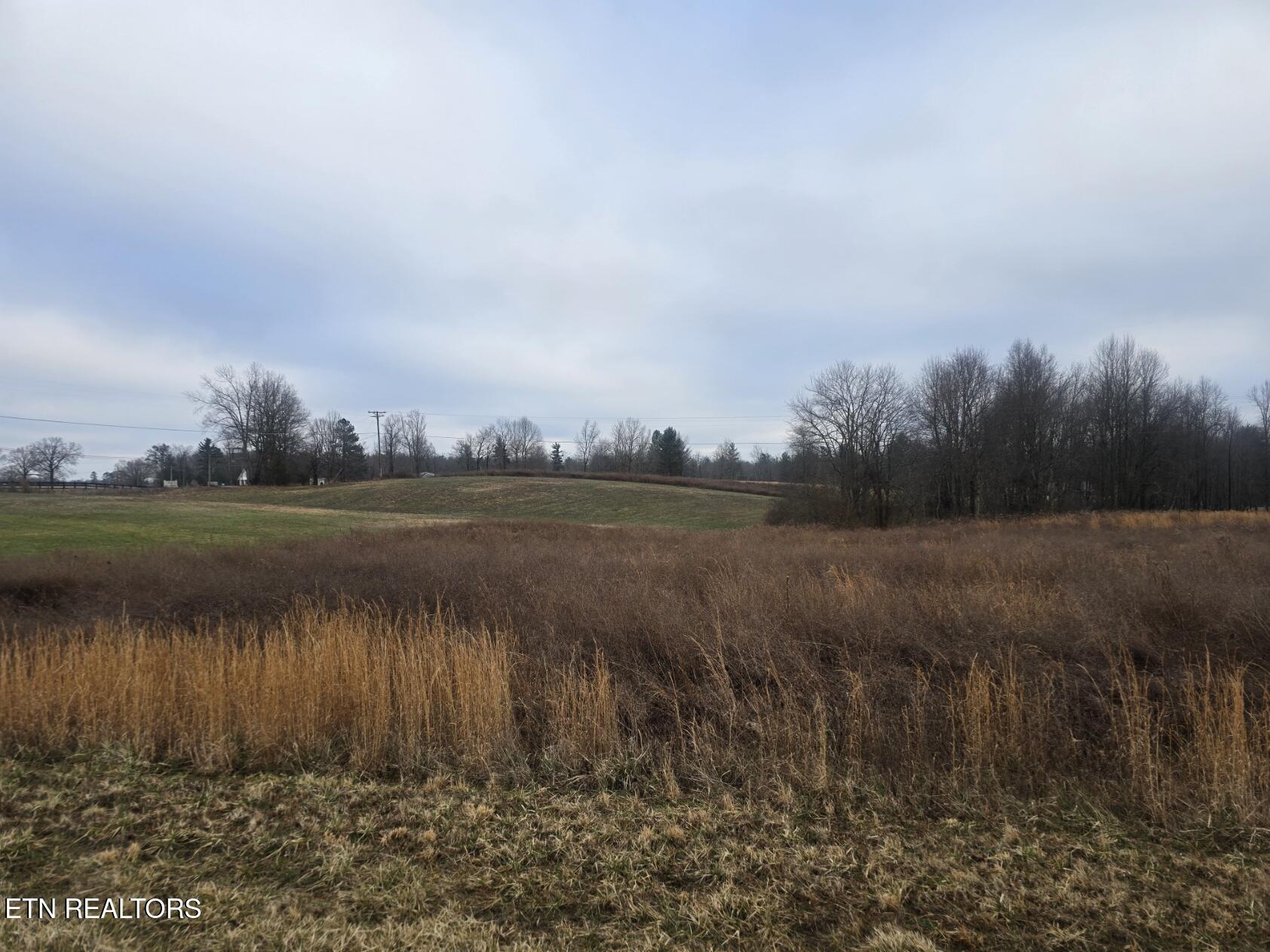 Coopertown/leatherwood Tract 2 Road Oneida TN 37841