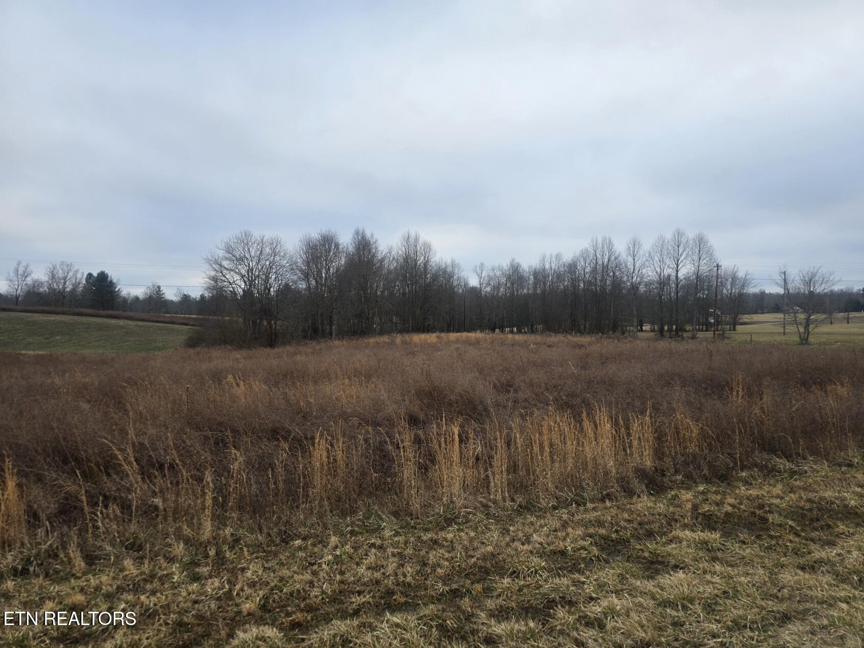 Coopertown/leatherwood Tract 2 Road Oneida TN 37841