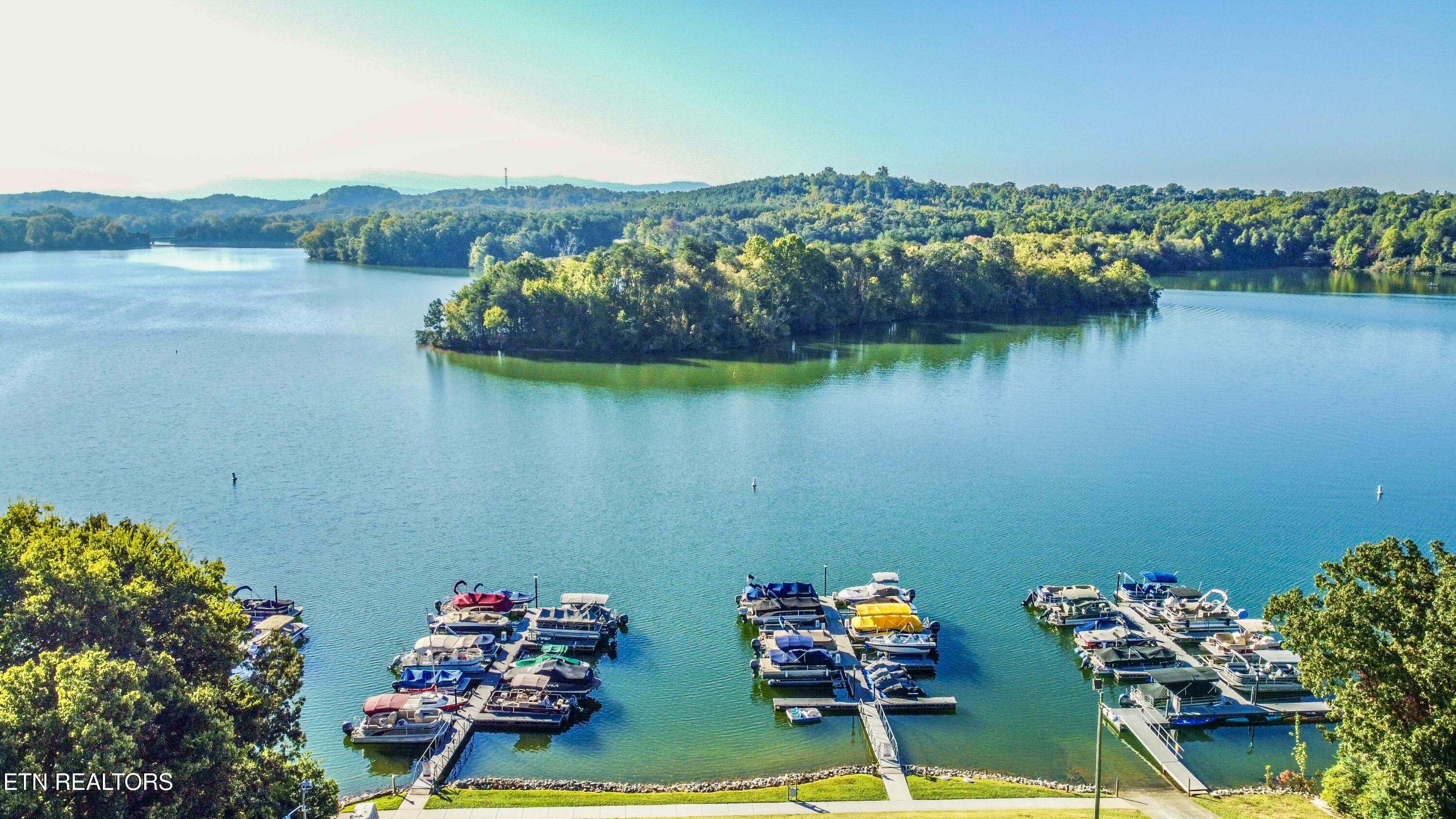 244 Northshore Drive Greenback TN 37742