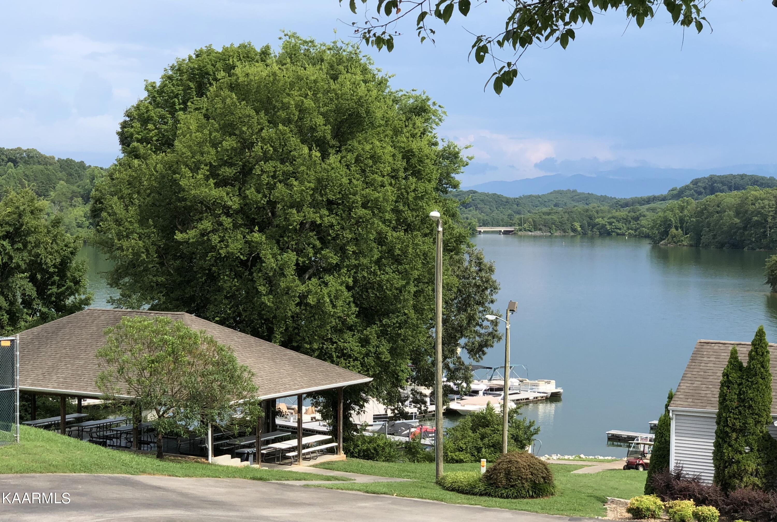 244 Northshore Drive Greenback TN 37742