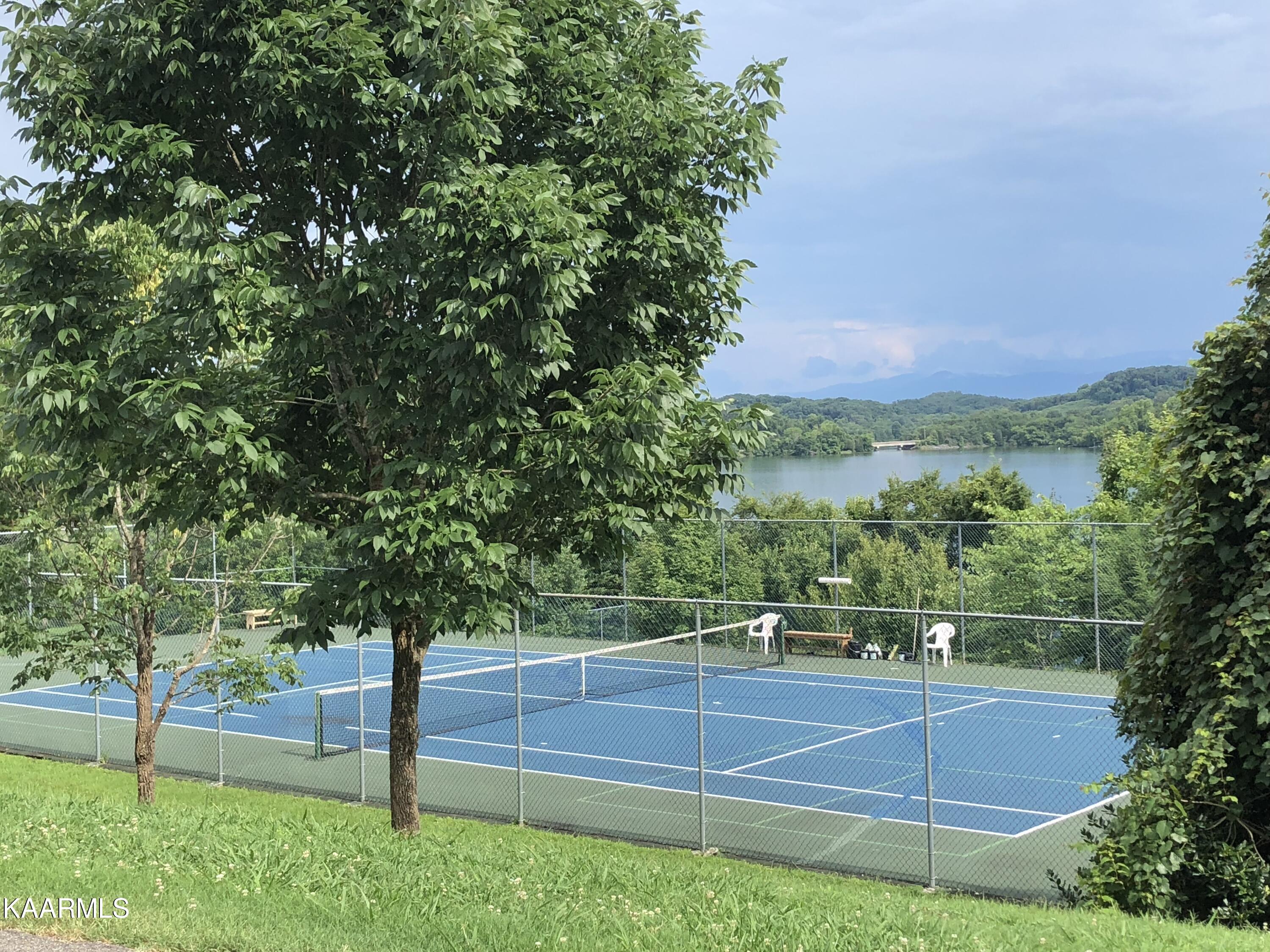 244 Northshore Drive Greenback TN 37742