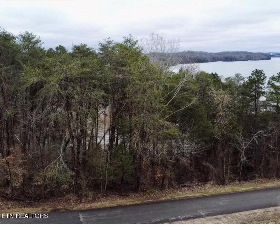 244 Northshore Drive Greenback TN 37742