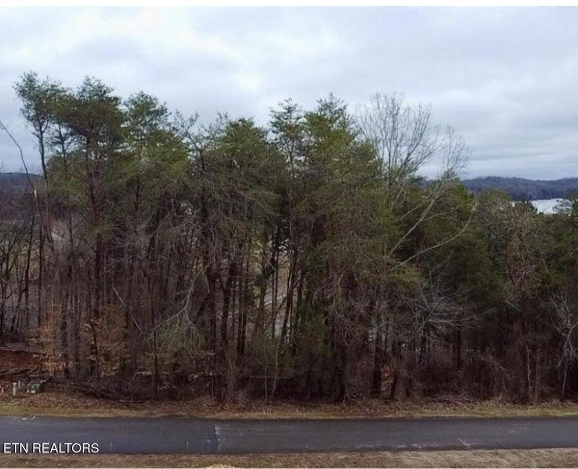 244 Northshore Drive Greenback TN 37742