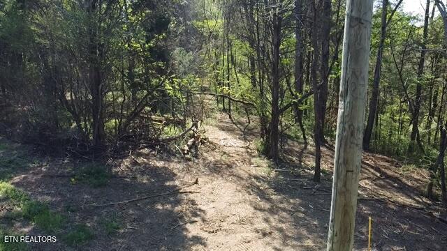 Short Bark Road (10 Ac) Madisonville TN 37354