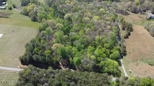 Short Bark Road (10 Ac) Madisonville TN 37354