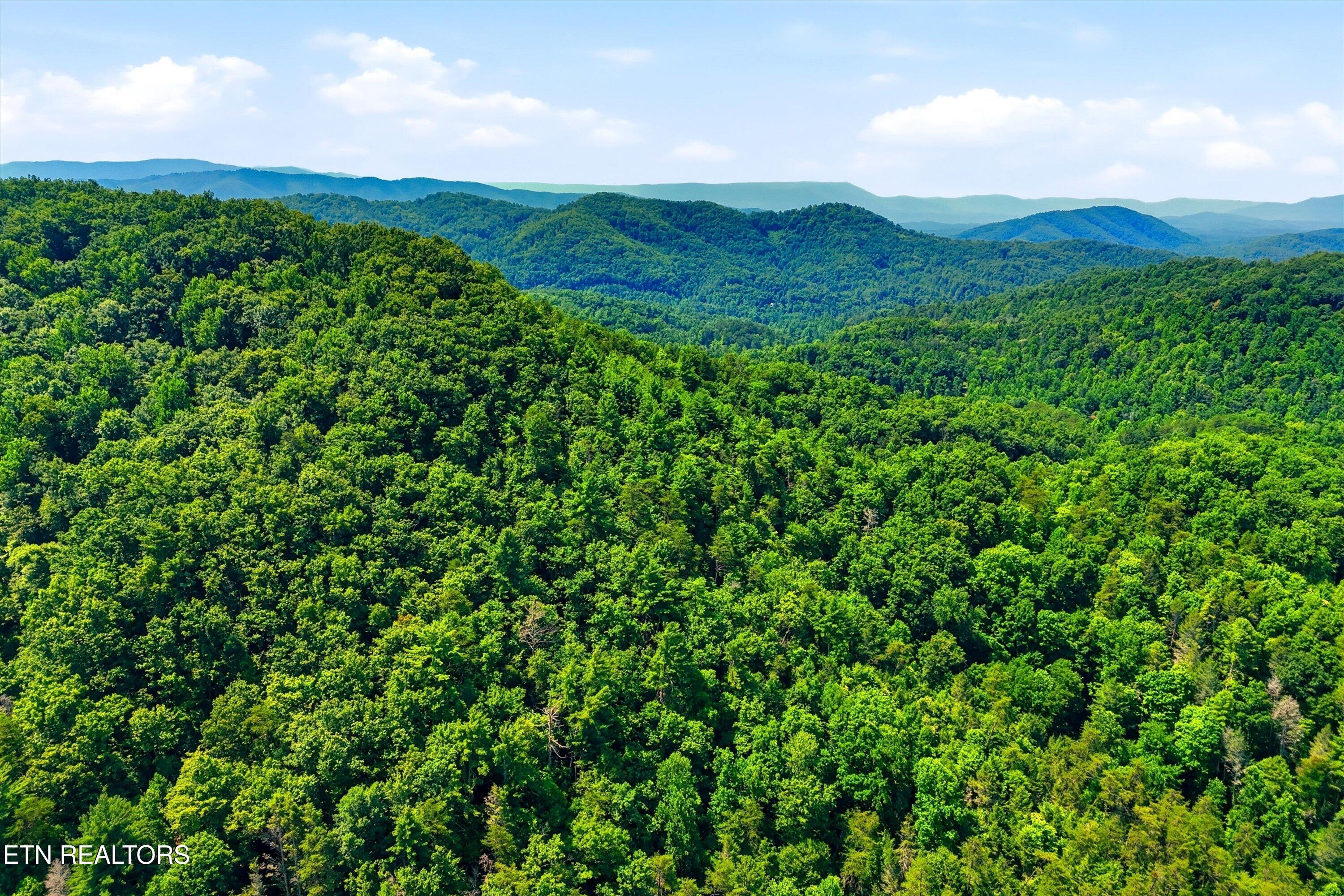Tr 5 Wilhite Road Sevierville TN 37876