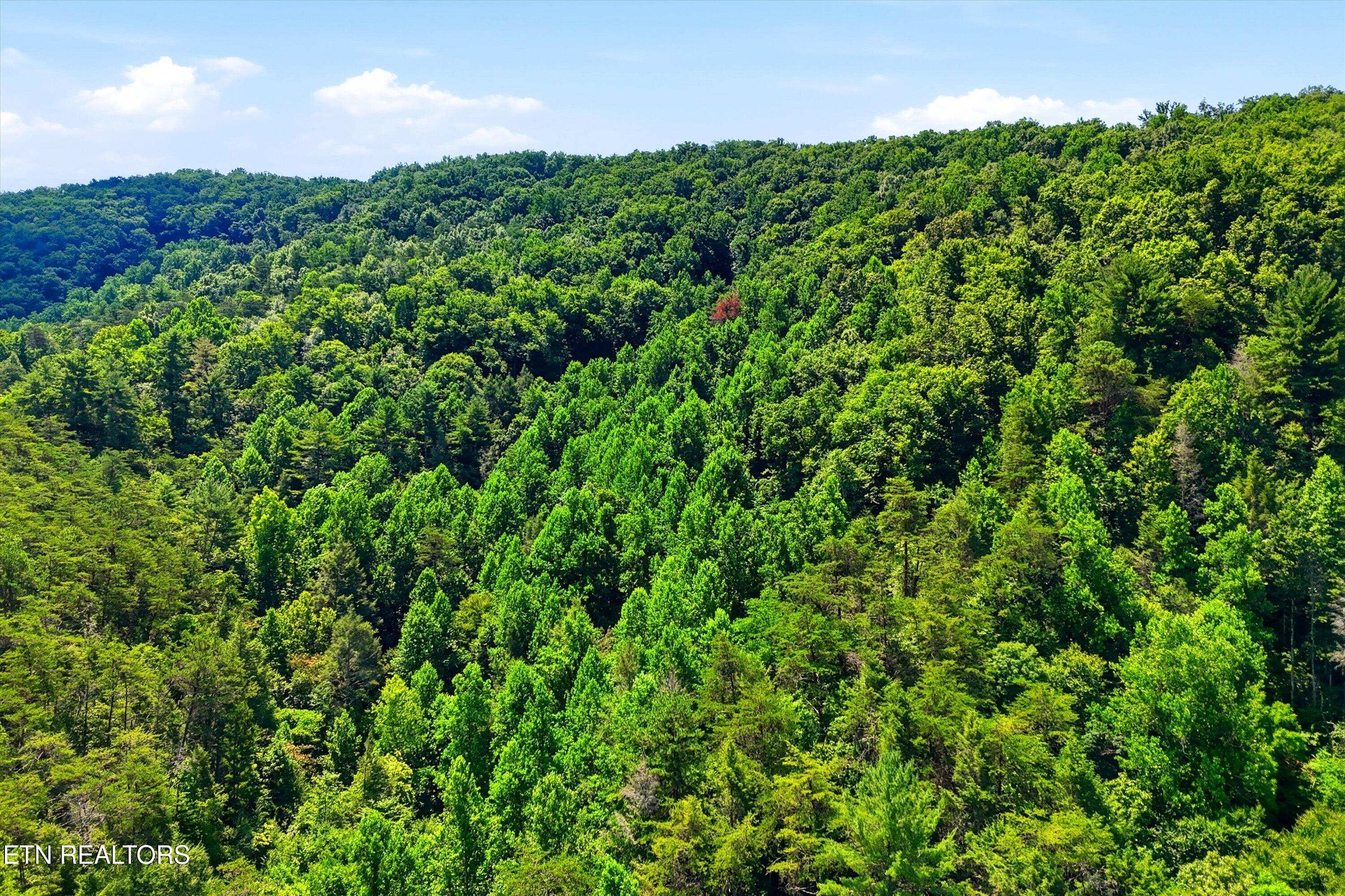 Tr 5 Wilhite Road Sevierville TN 37876