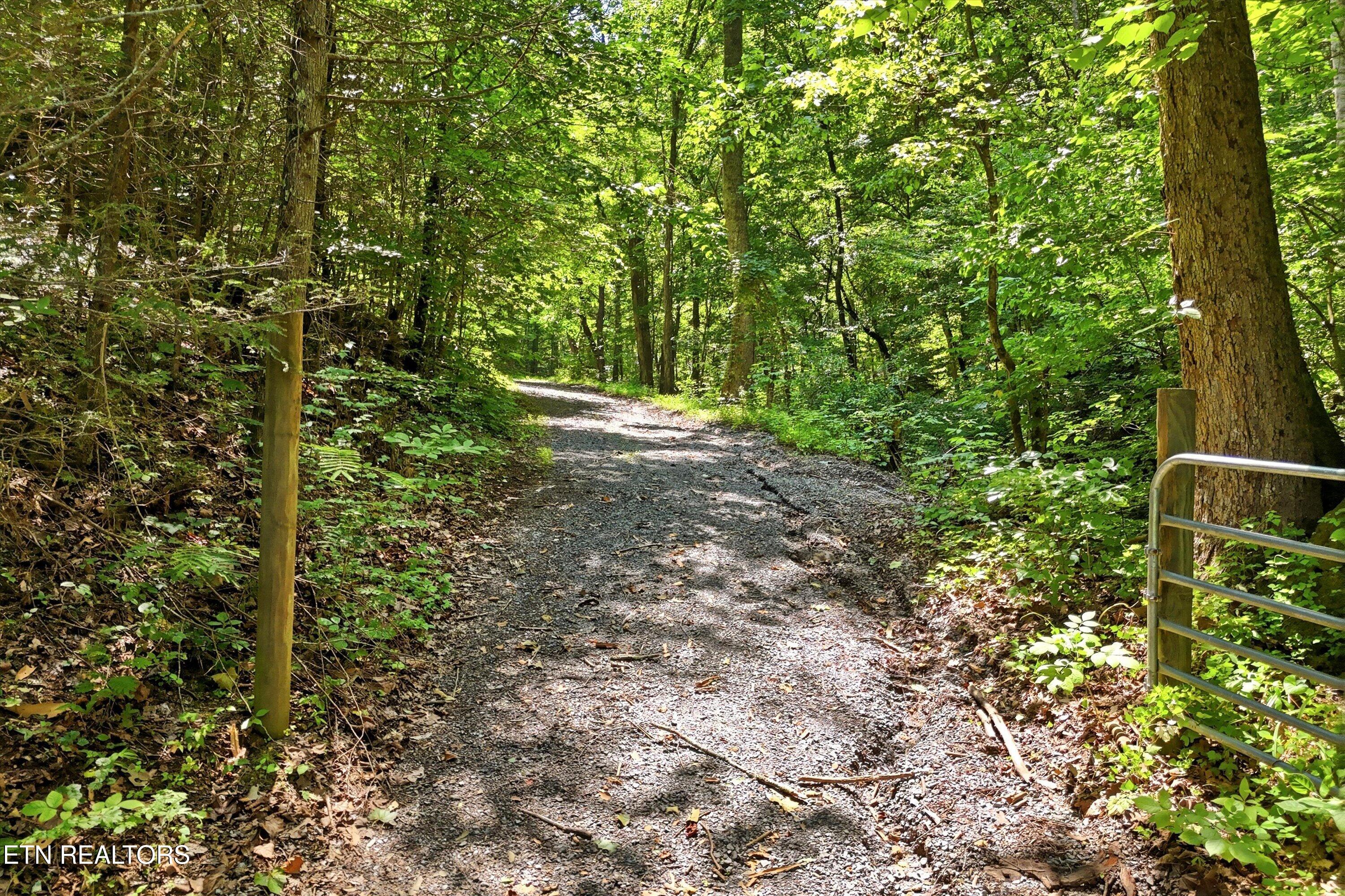 Tr 5 Wilhite Road Sevierville TN 37876