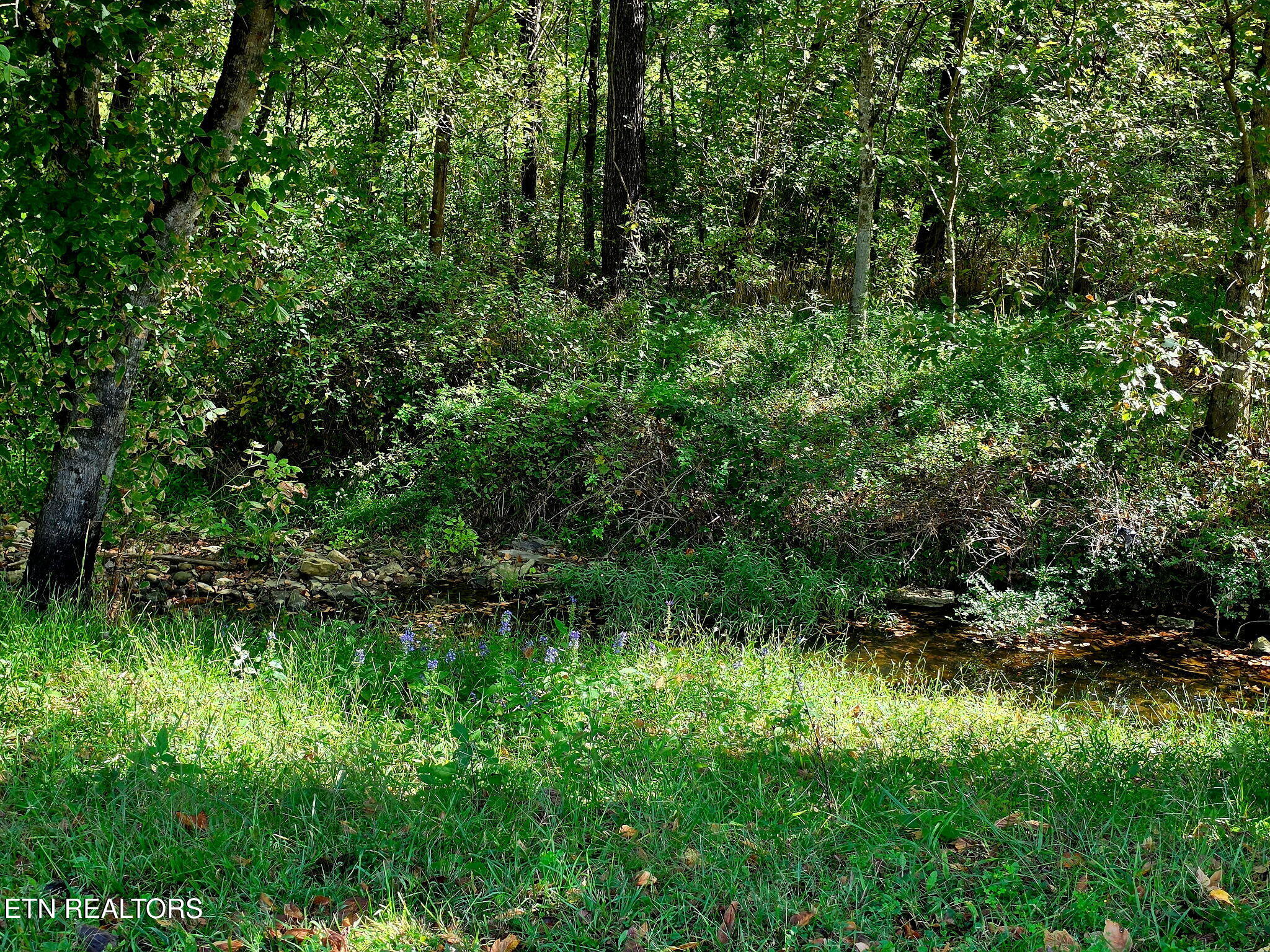 2285 Douglas Dam Road Pigeon Forge TN 37876