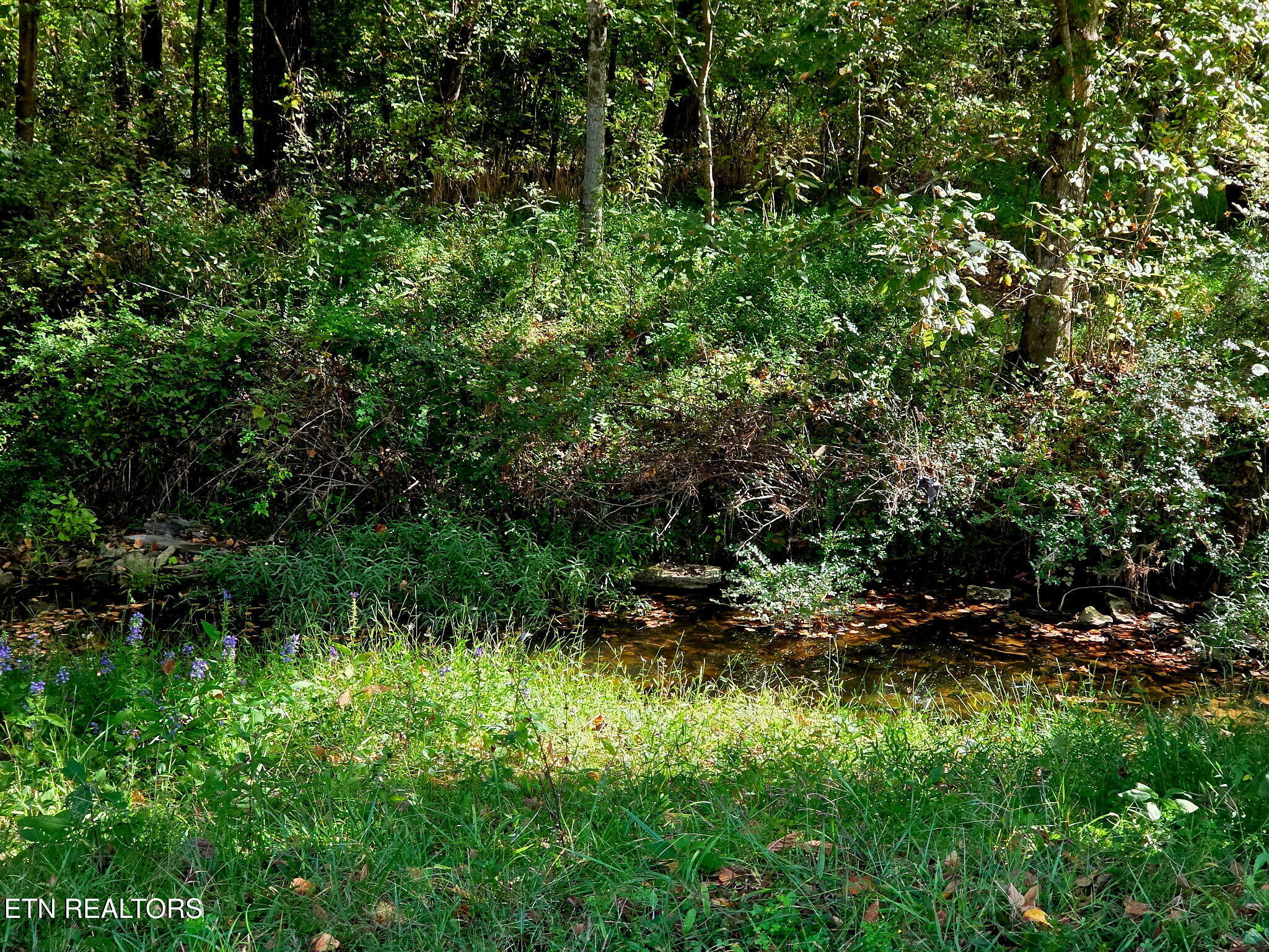 2285 Douglas Dam Road Pigeon Forge TN 37876
