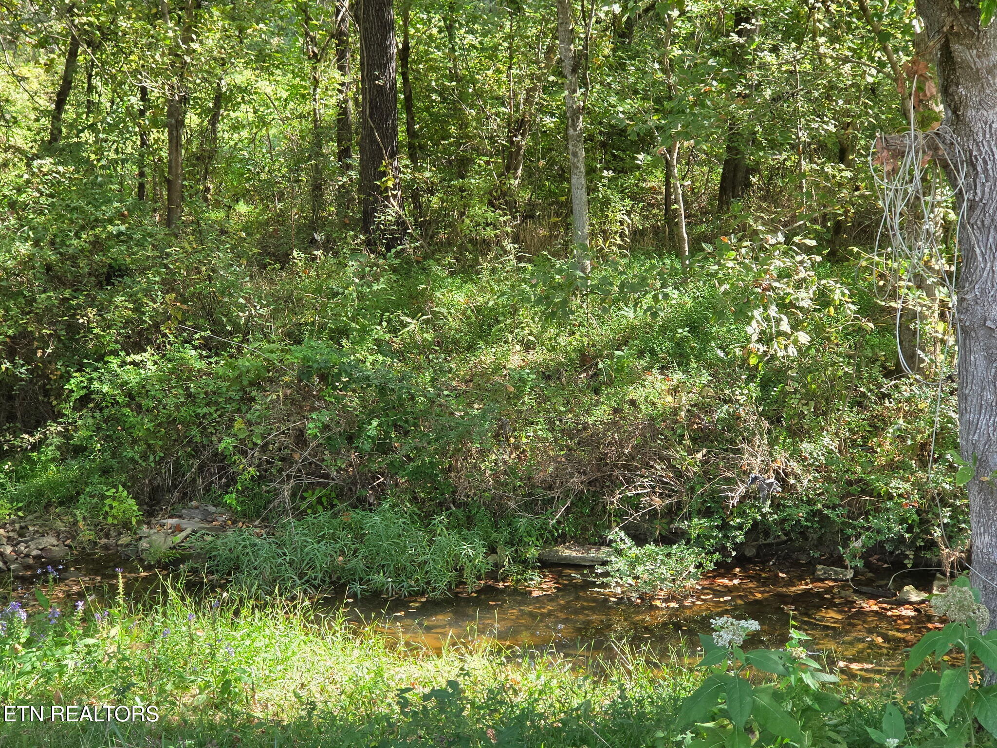 2285 Douglas Dam Road Pigeon Forge TN 37876