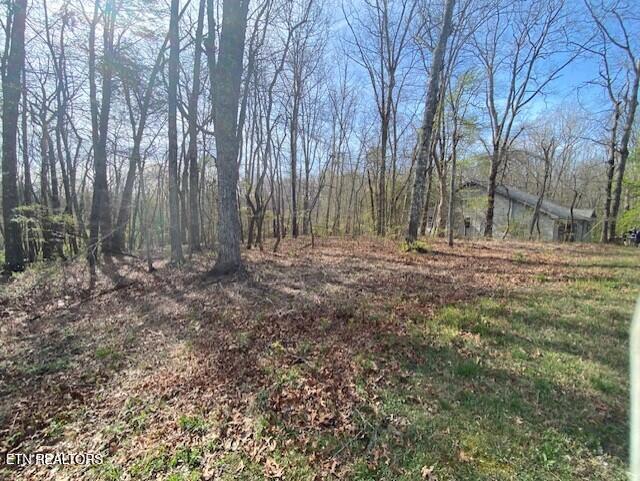 149 Saint George Drive Fairfield Glade TN 38558