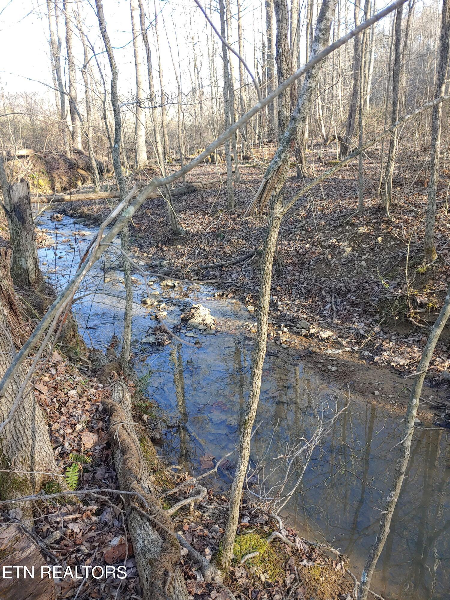 Mill Creek Road Sunbright TN 37872