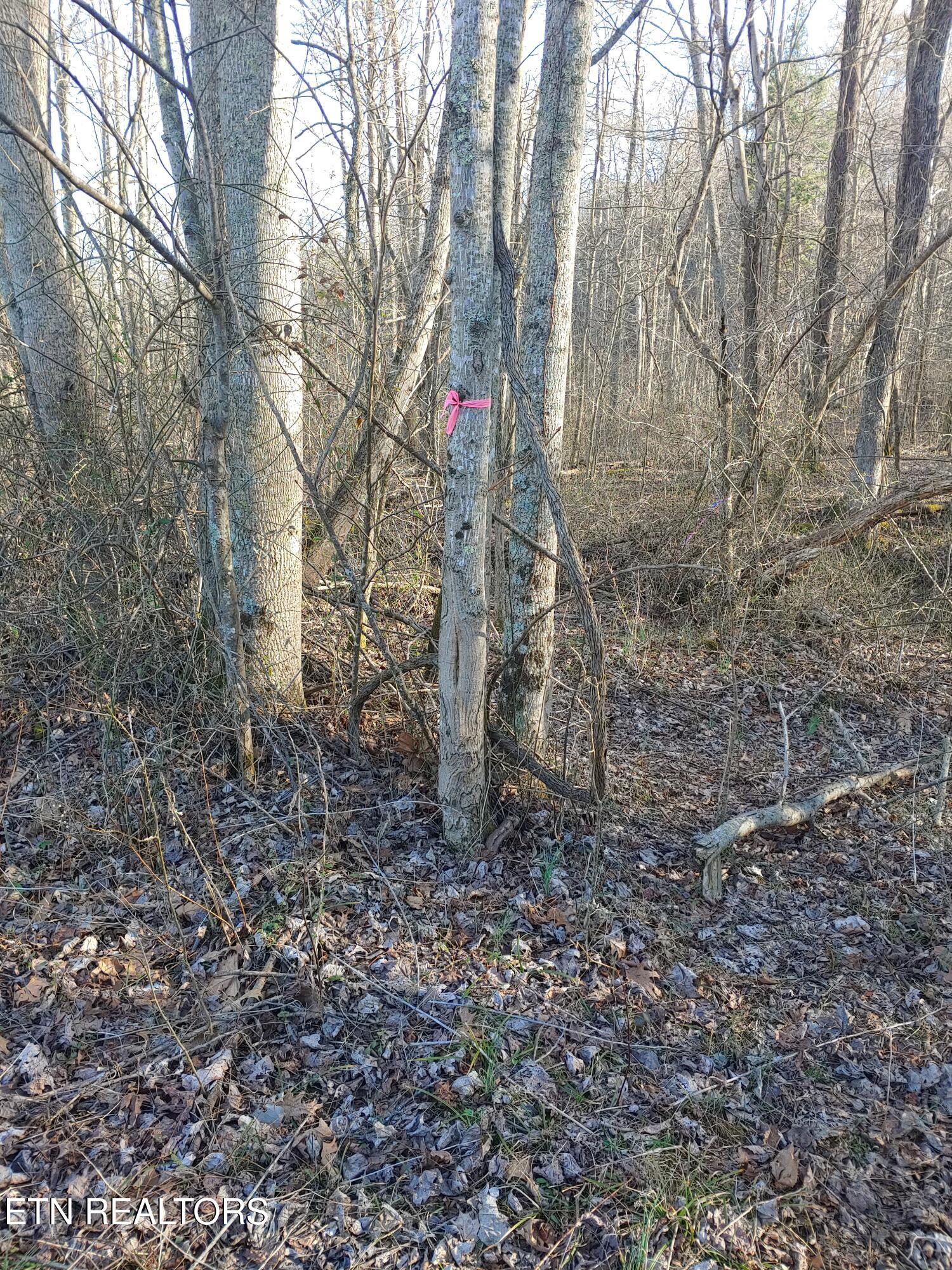 Mill Creek Road Sunbright TN 37872