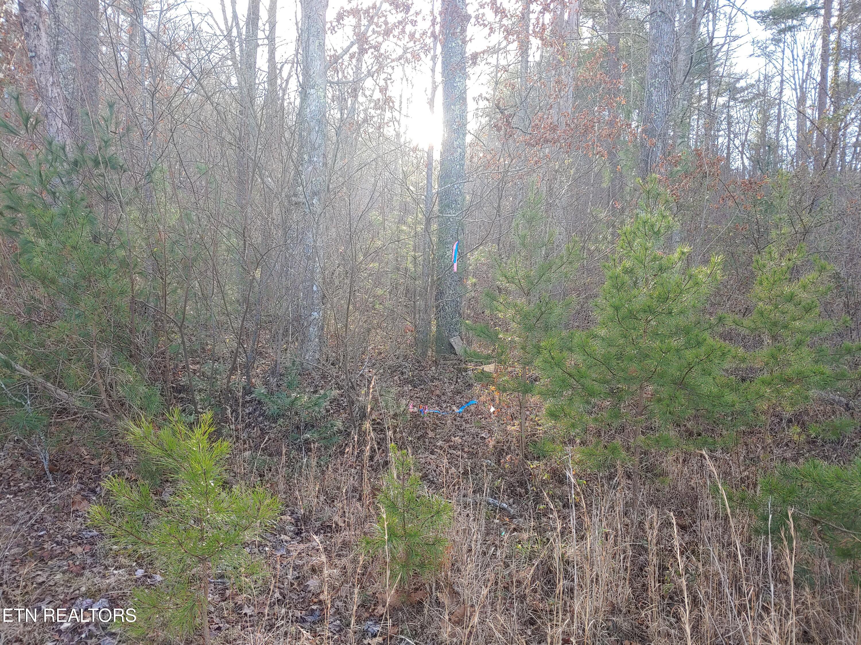 Mill Creek Road Sunbright TN 37872