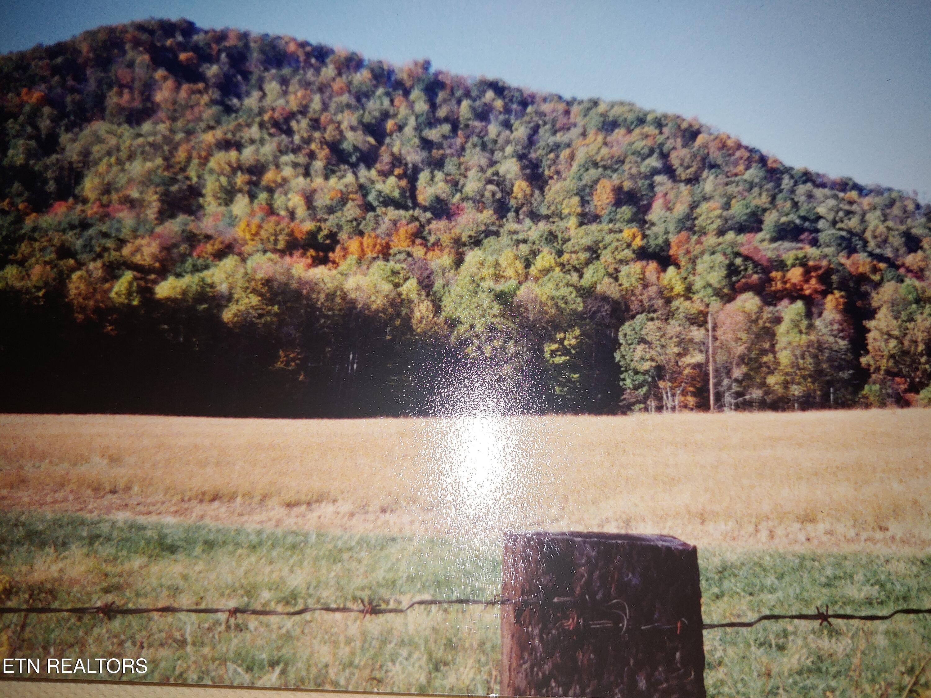 Mill Creek Road Sunbright TN 37872