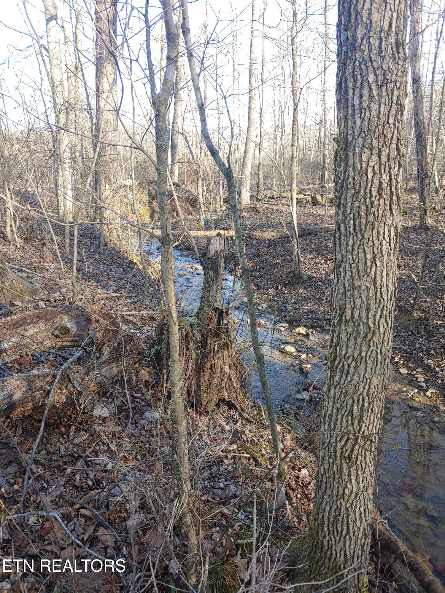 Mill Creek Road Sunbright TN 37872