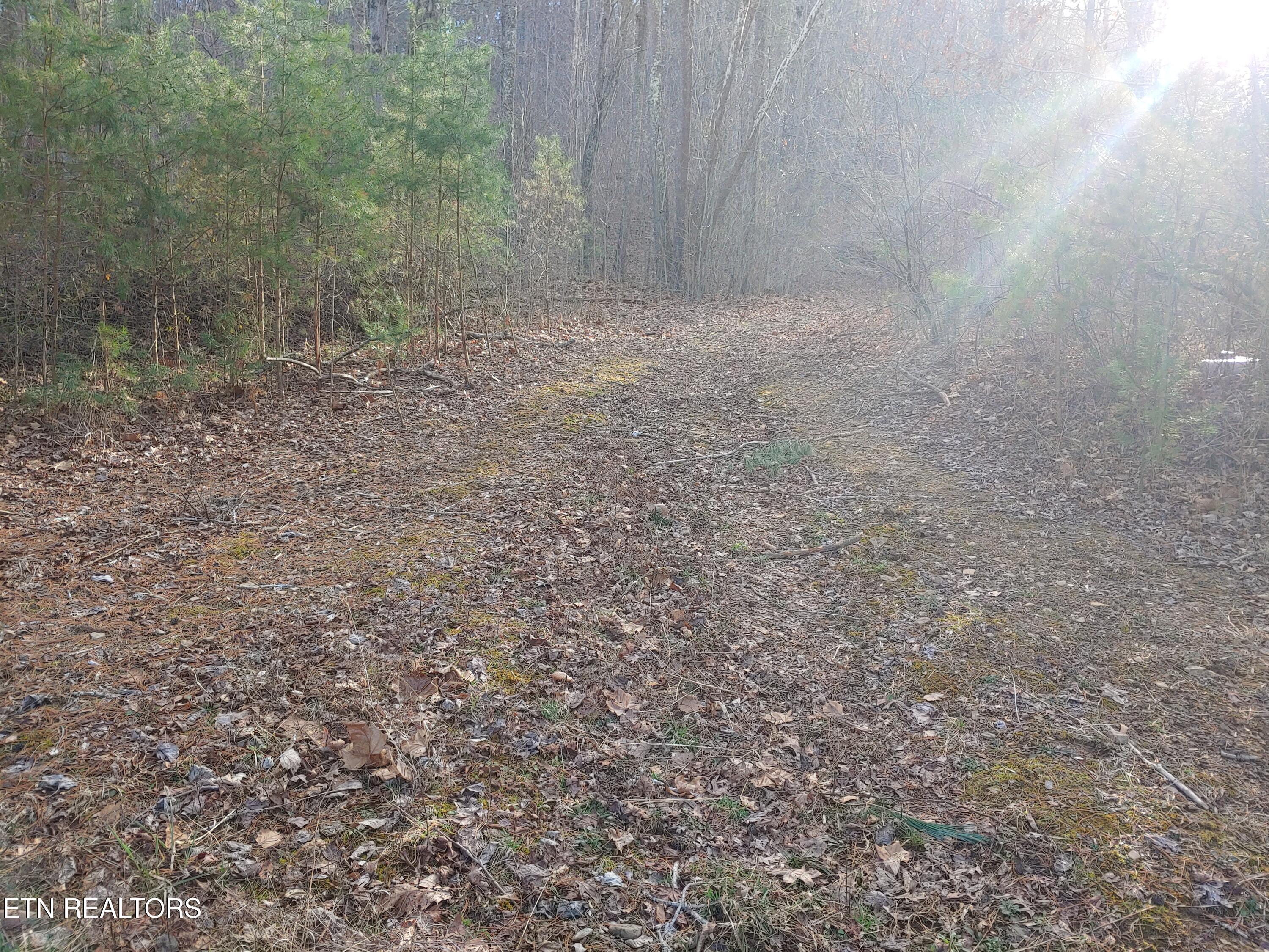 Mill Creek Road Sunbright TN 37872