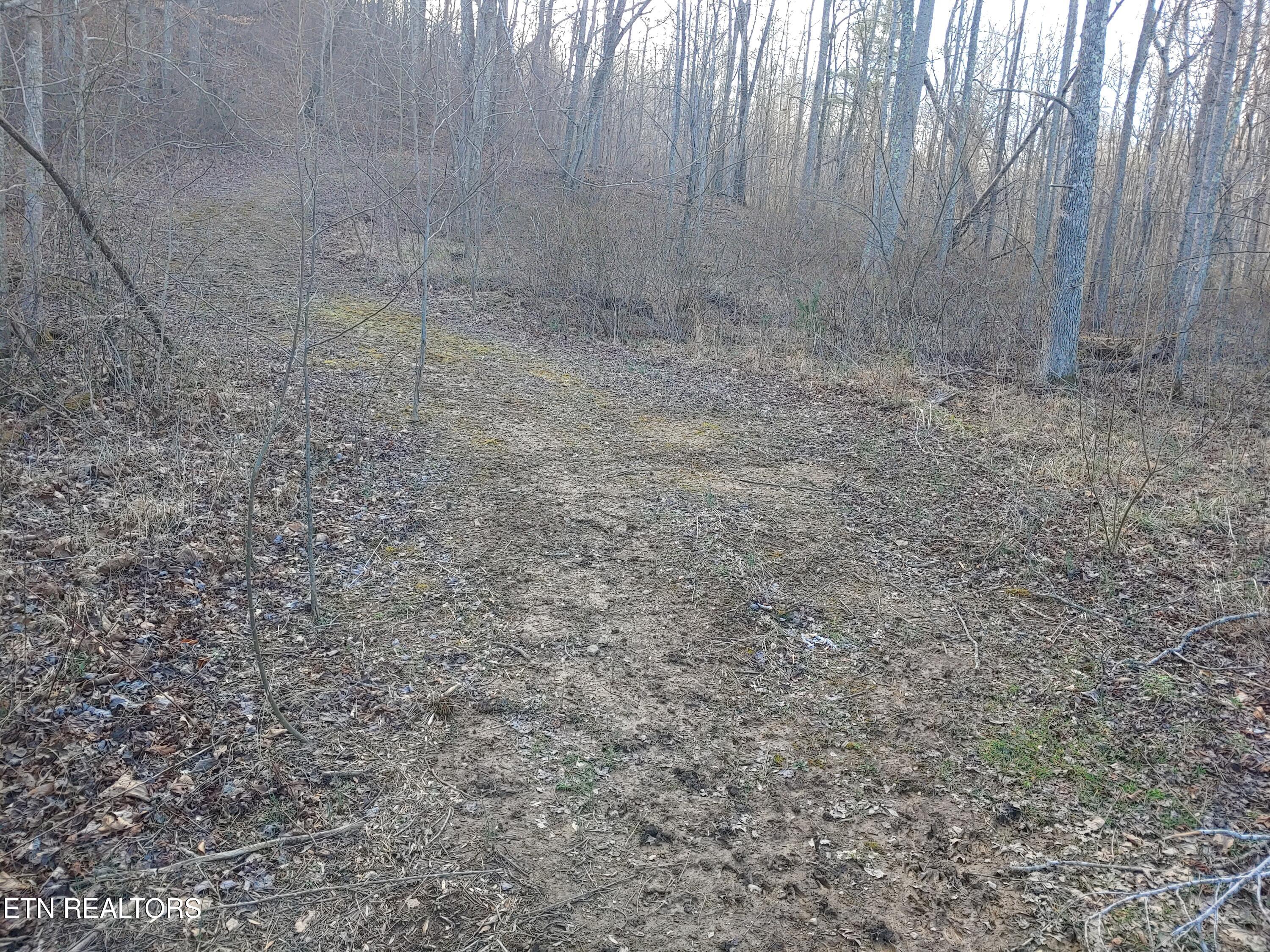 Mill Creek Road Sunbright TN 37872