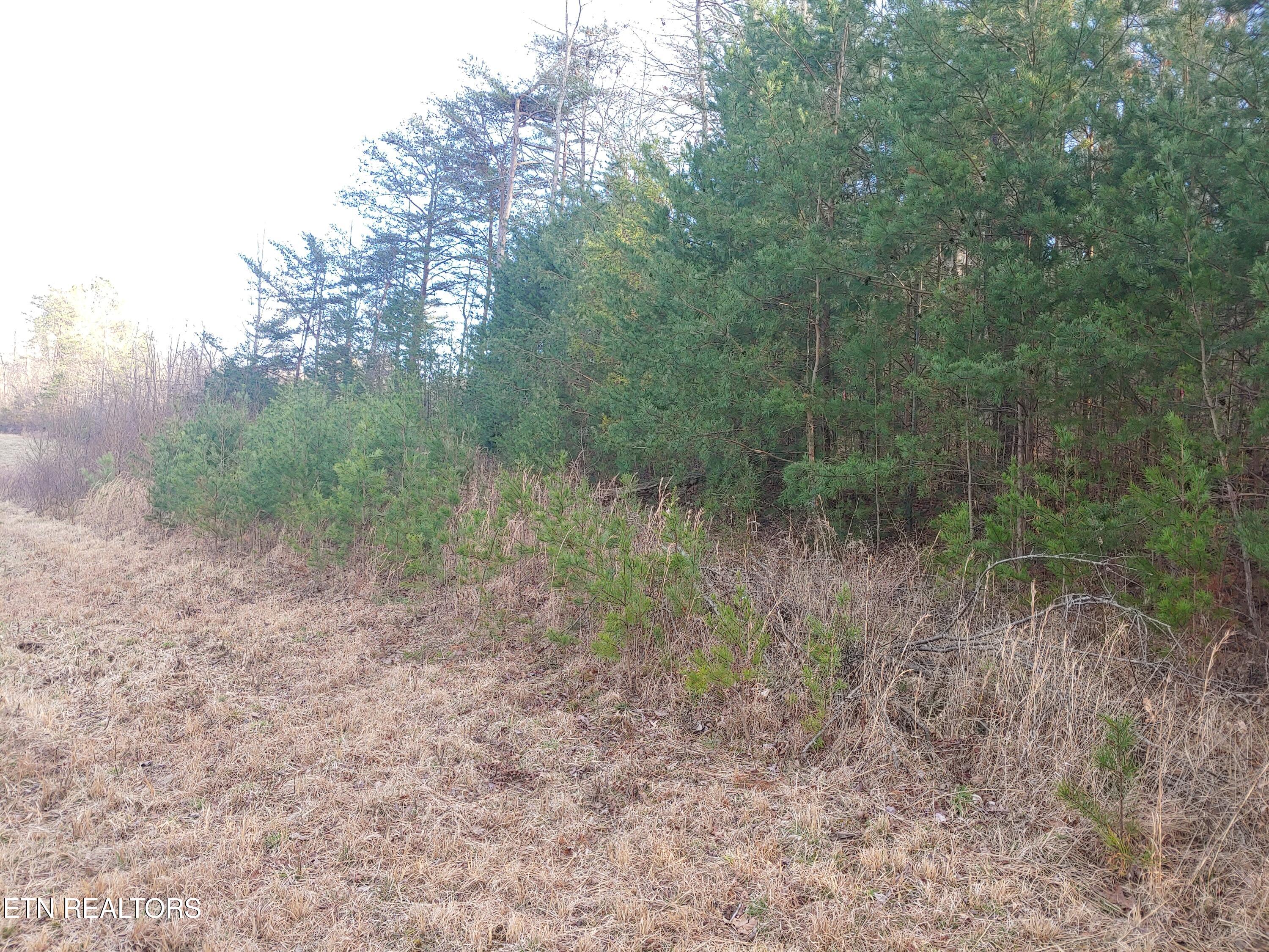 Mill Creek Road Sunbright TN 37872