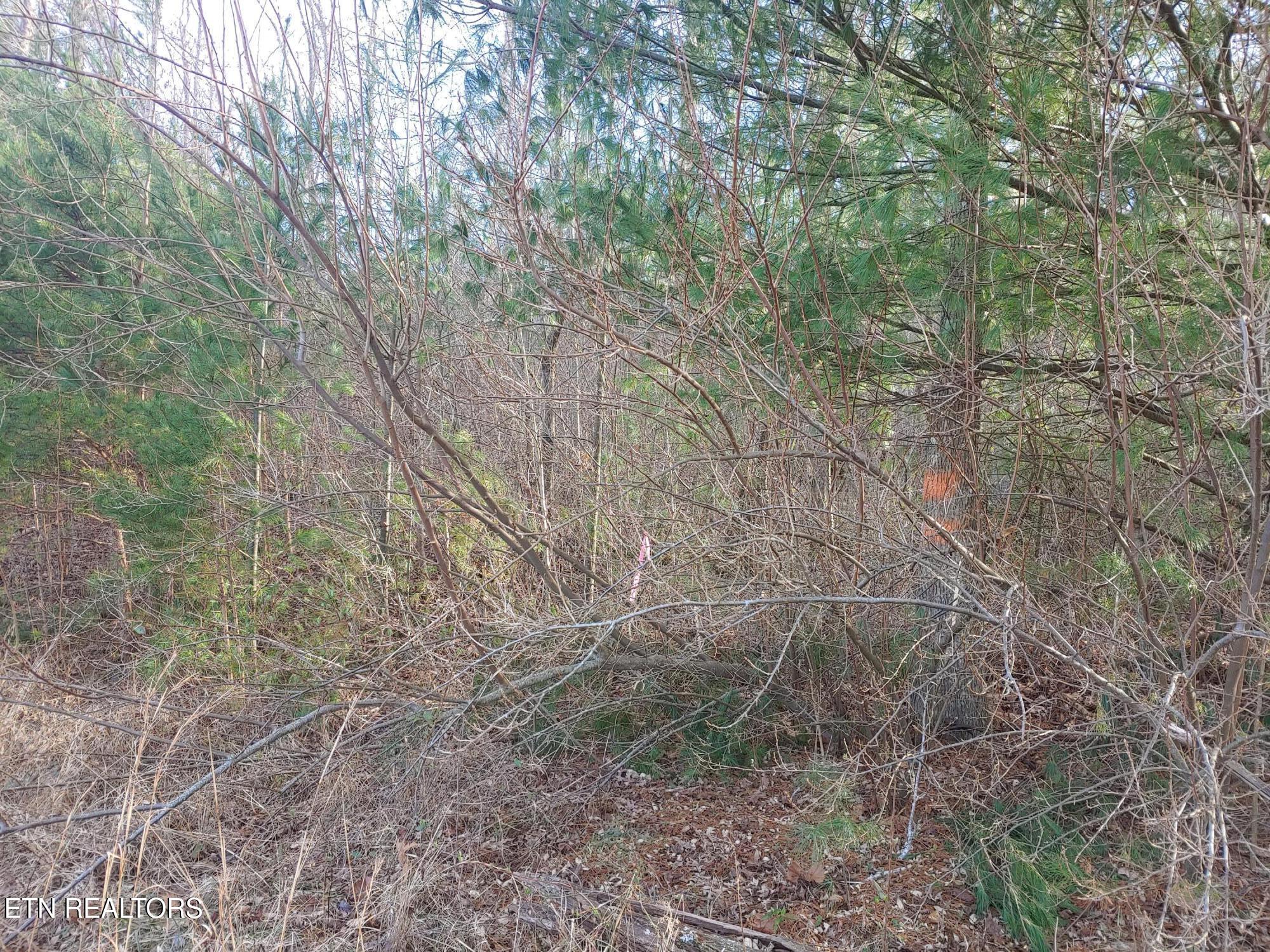 Mill Creek Road Sunbright TN 37872