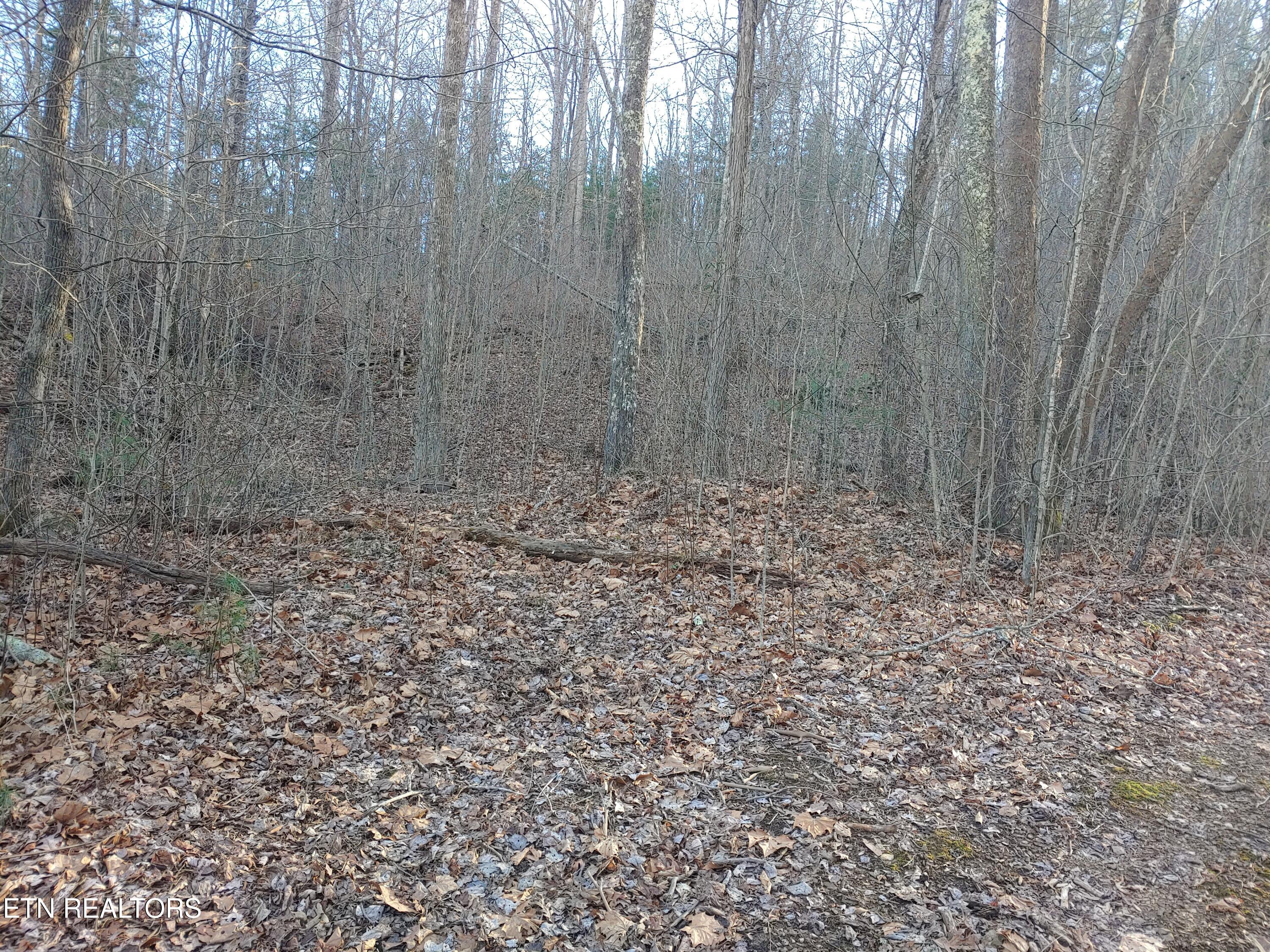 Mill Creek Road Sunbright TN 37872