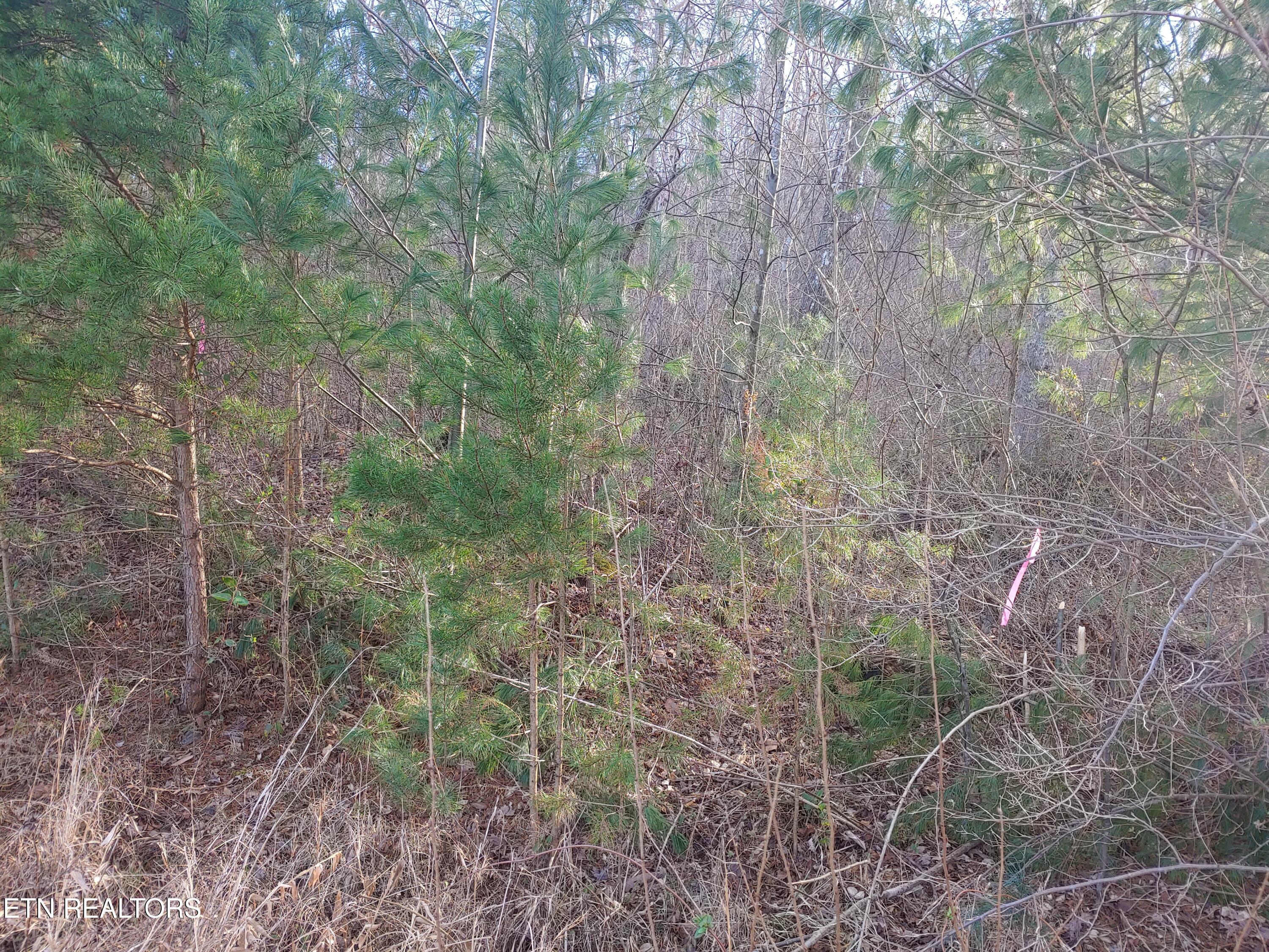 Mill Creek Road Sunbright TN 37872