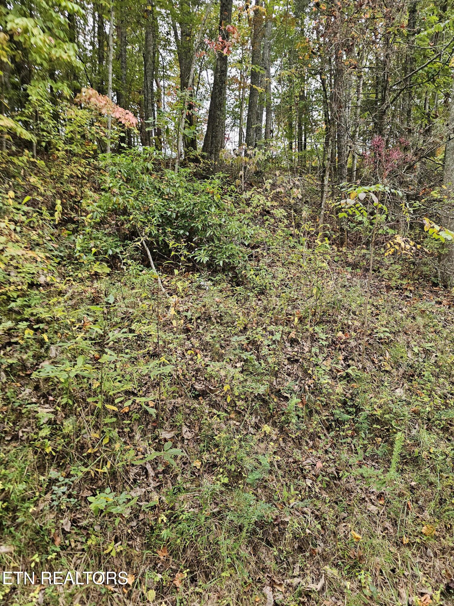 0.16 Acres S Lindsey Street Tallassee TN 37878
