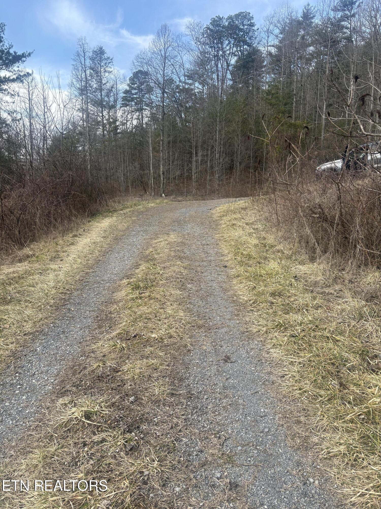 --- Sugar Maple Way Del Rio TN 37727