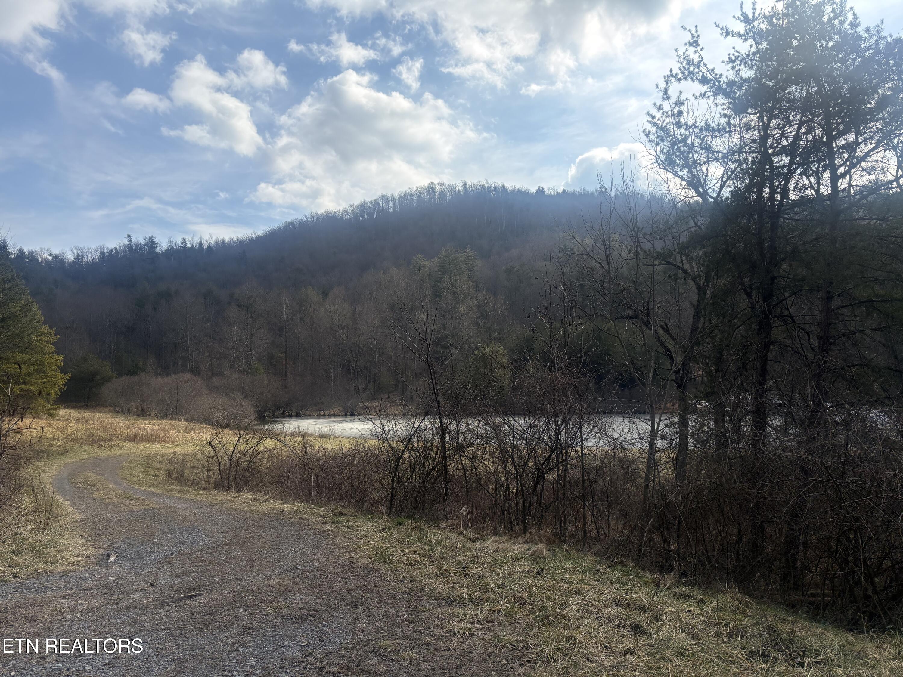 --- Sugar Maple Way Del Rio TN 37727