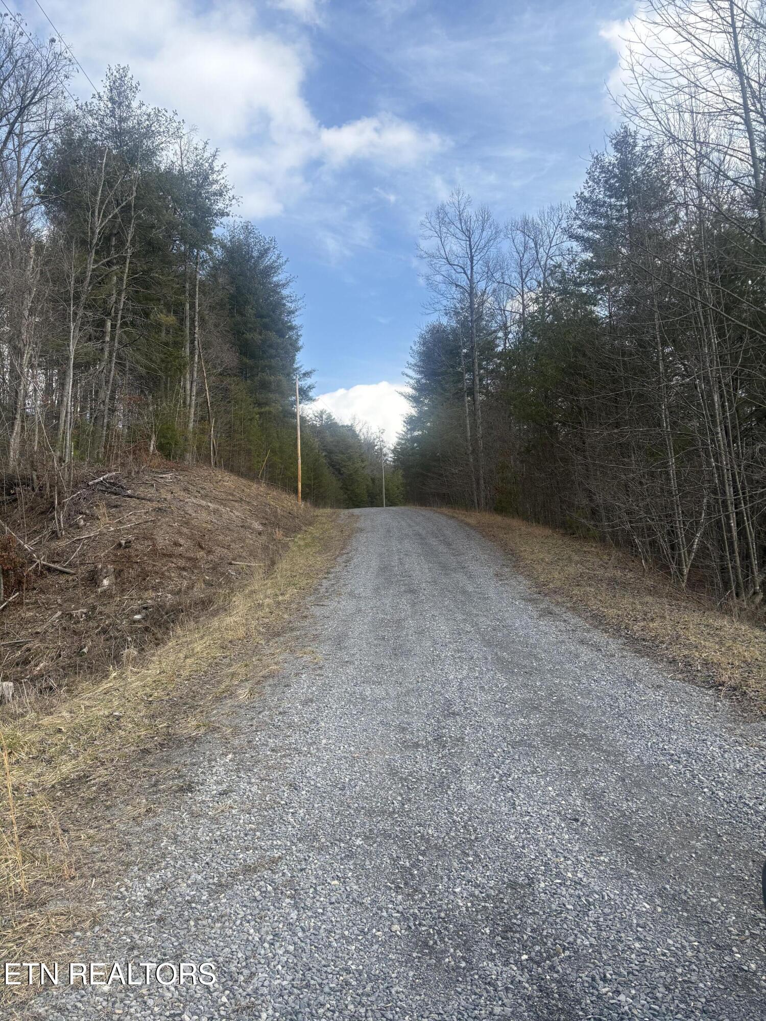 --- Sugar Maple Way Del Rio TN 37727