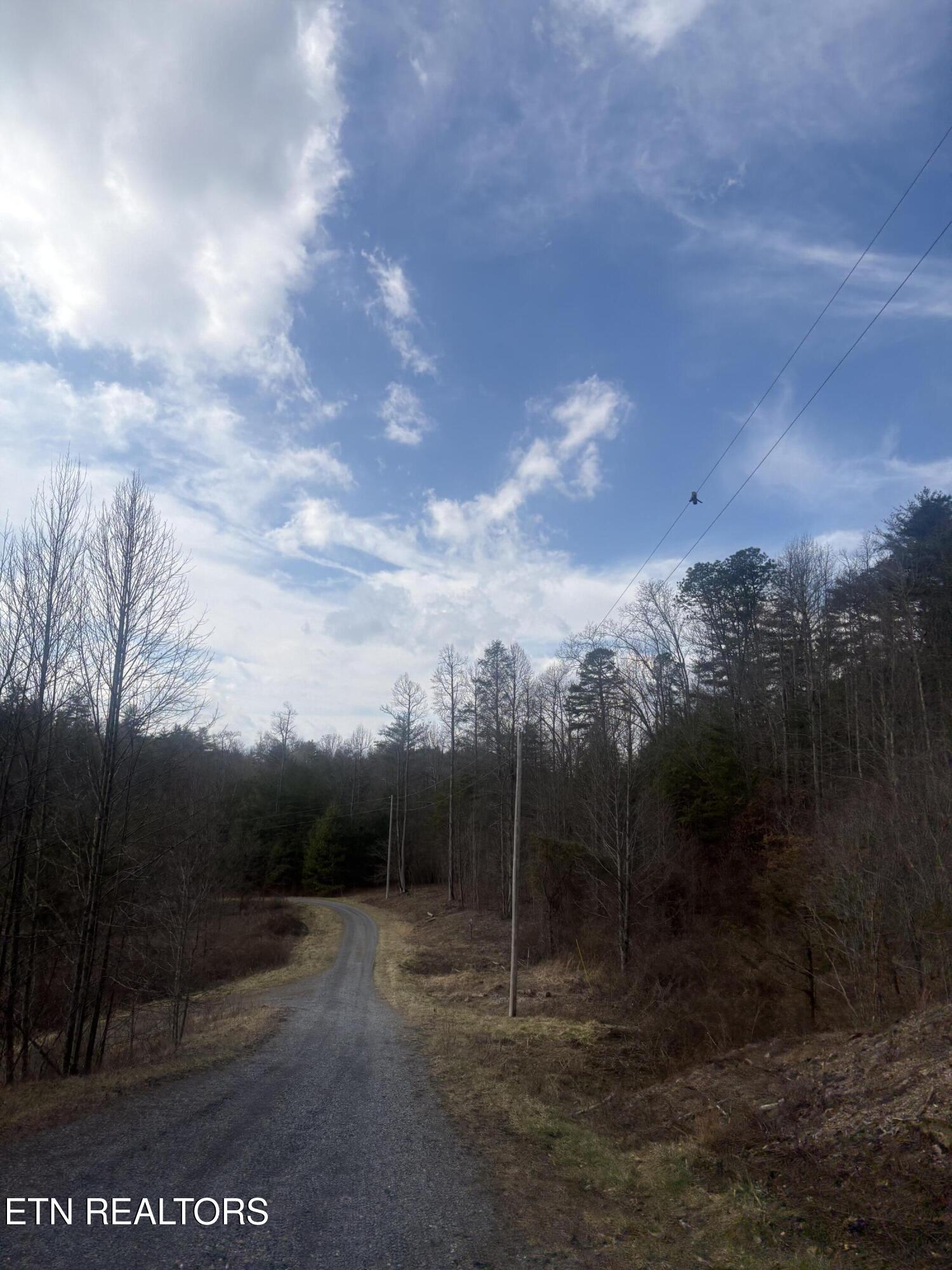 --- Sugar Maple Way Del Rio TN 37727