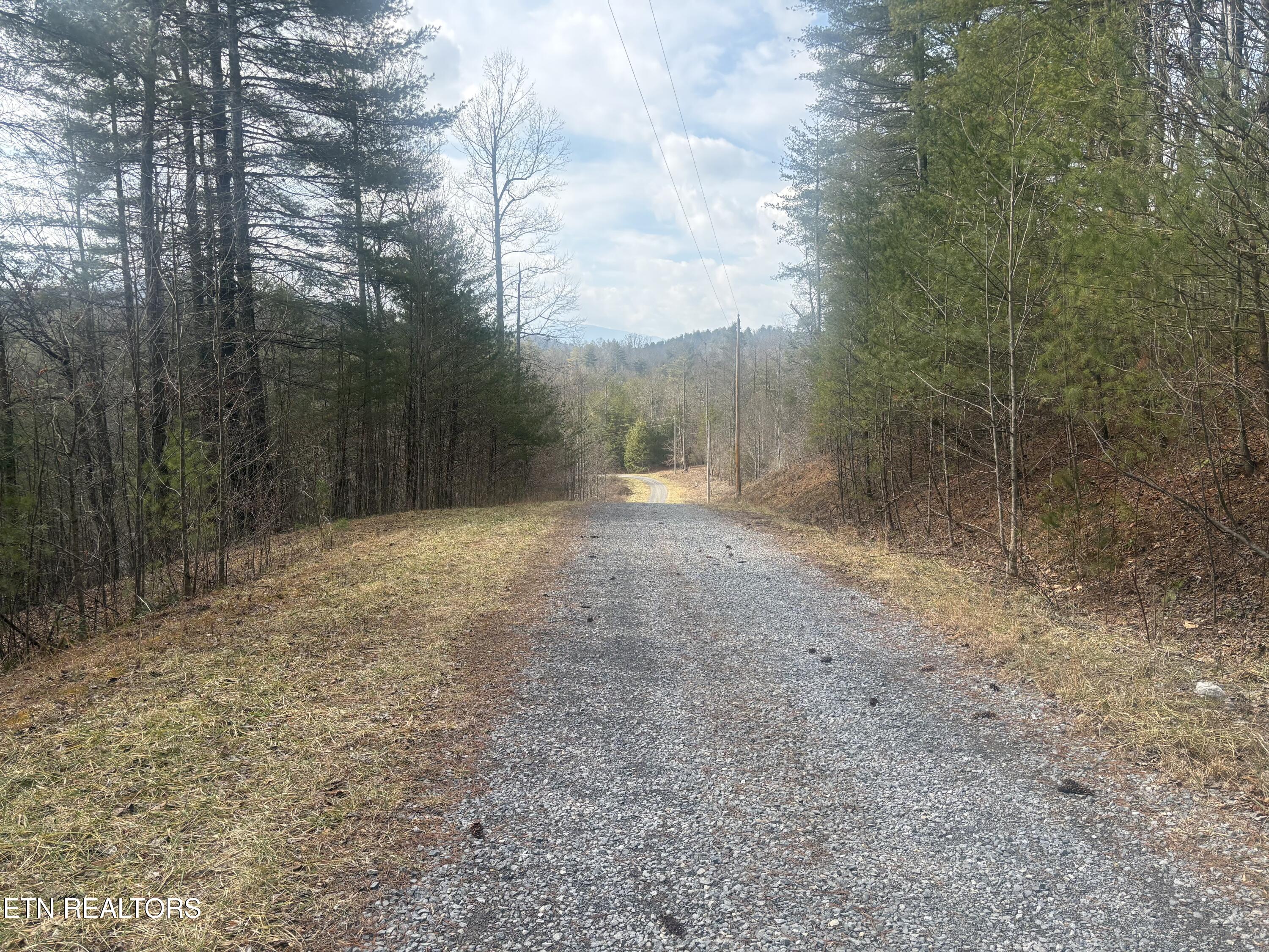 --- Sugar Maple Way Del Rio TN 37727