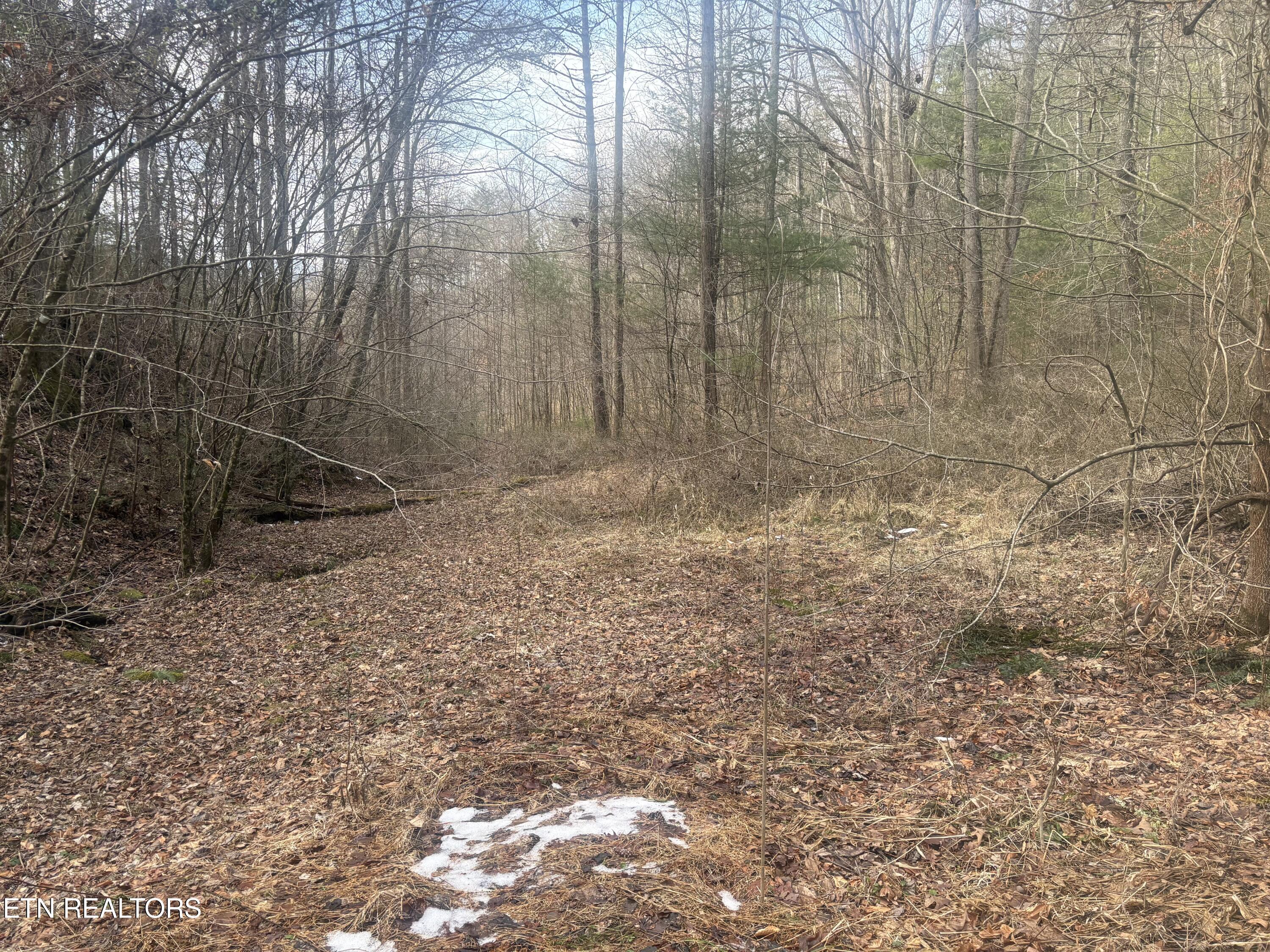 --- Sugar Maple Way Del Rio TN 37727