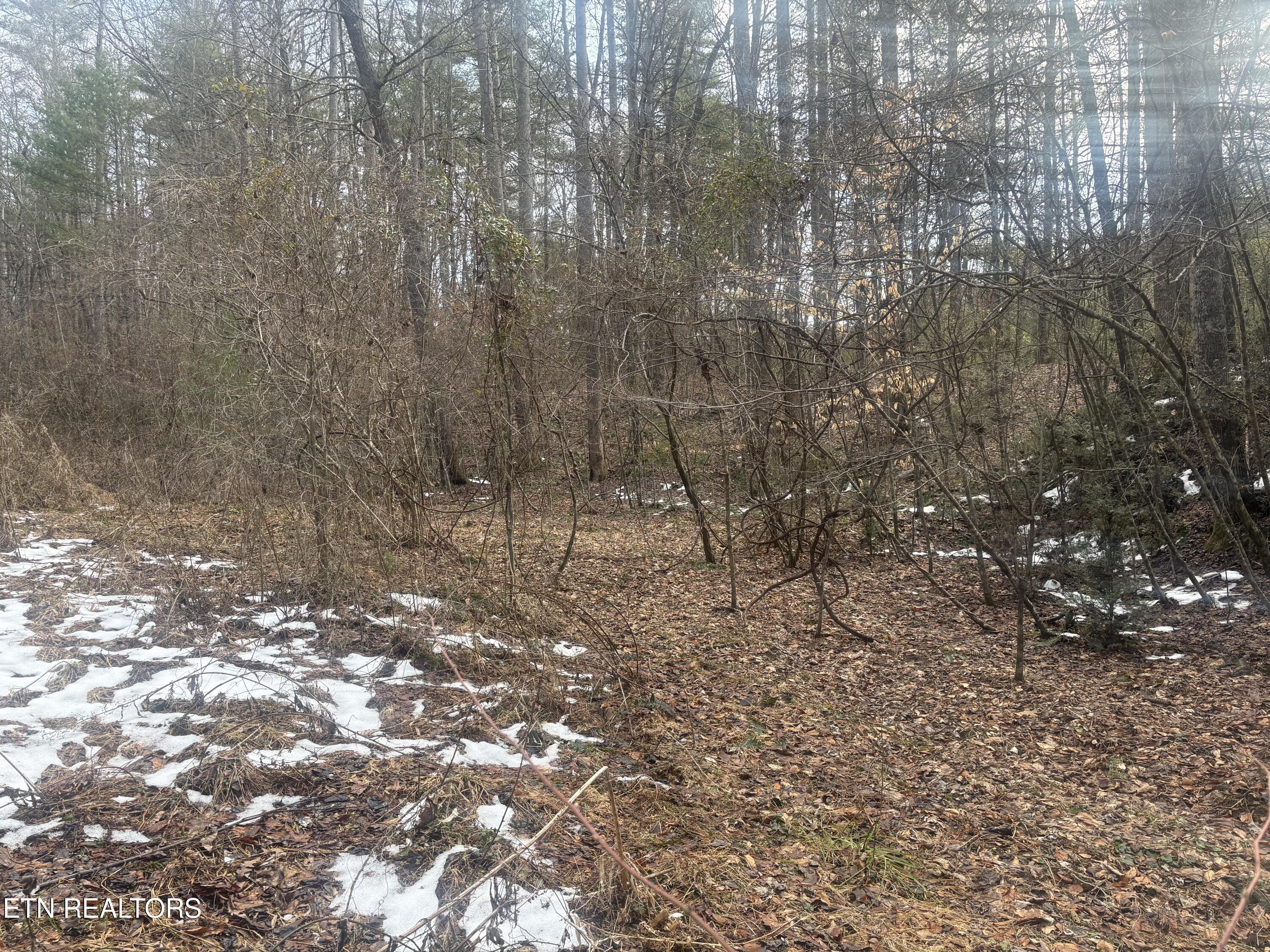 --- Sugar Maple Way Del Rio TN 37727