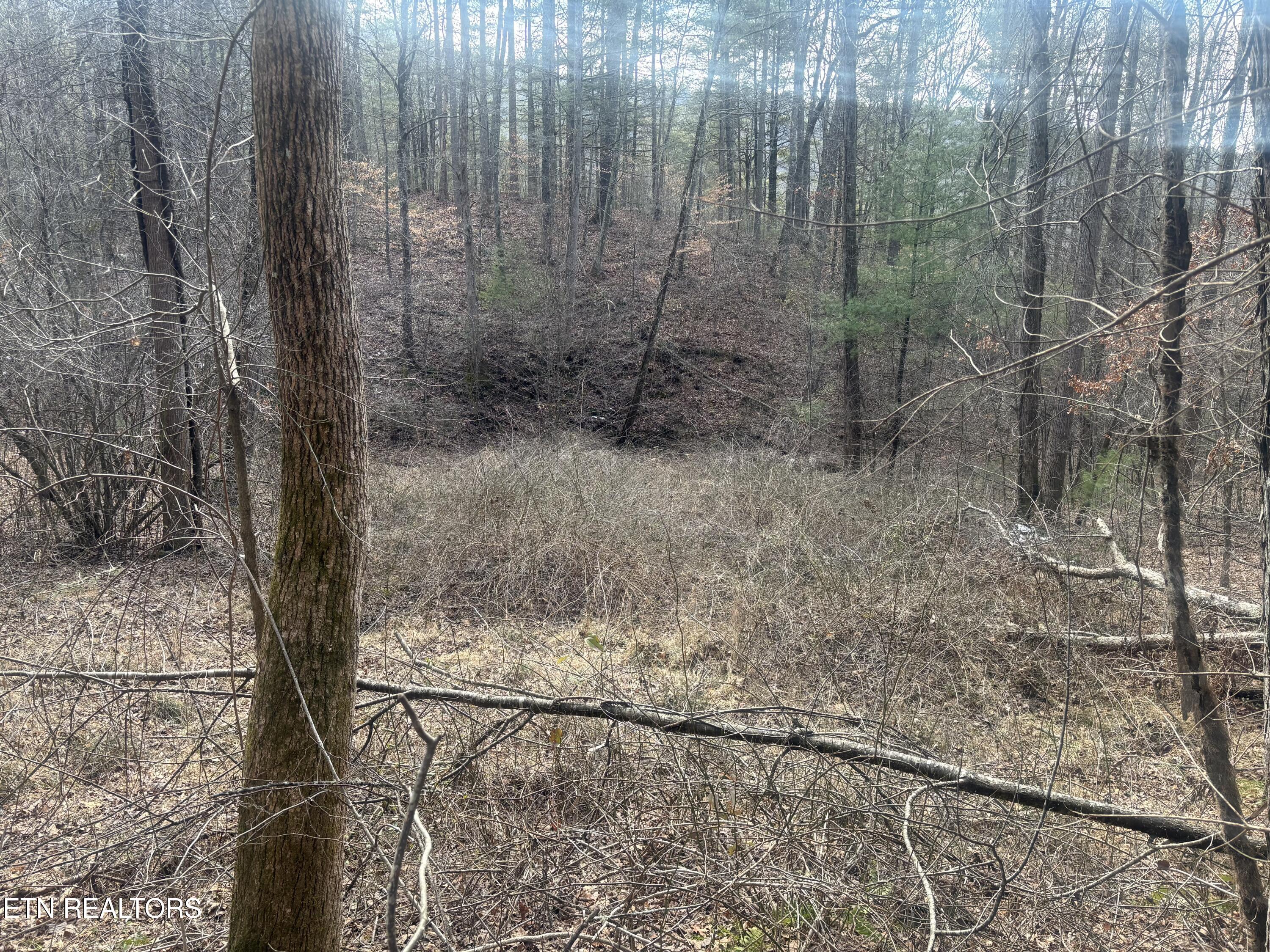 --- Sugar Maple Way Del Rio TN 37727