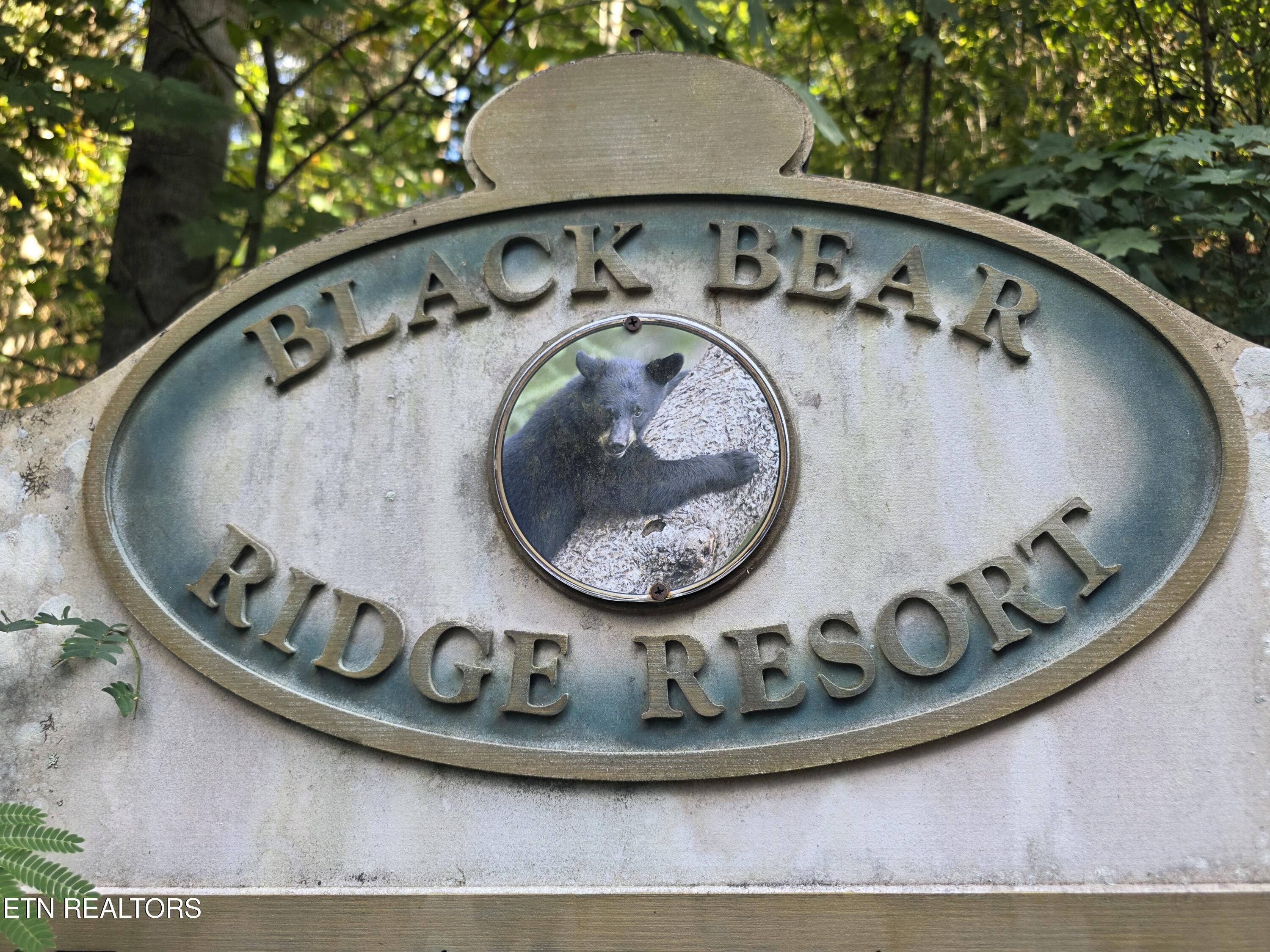 Black Bear Cub Way Pigeon Forge TN 37862