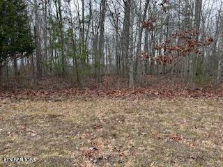 Buckeye Lane Crawford TN 38554