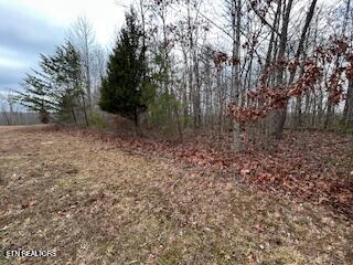 Buckeye Lane Crawford TN 38554