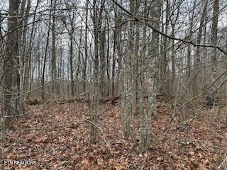 Buckeye Lane Crawford TN 38554