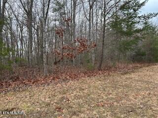 Buckeye Lane Crawford TN 38554